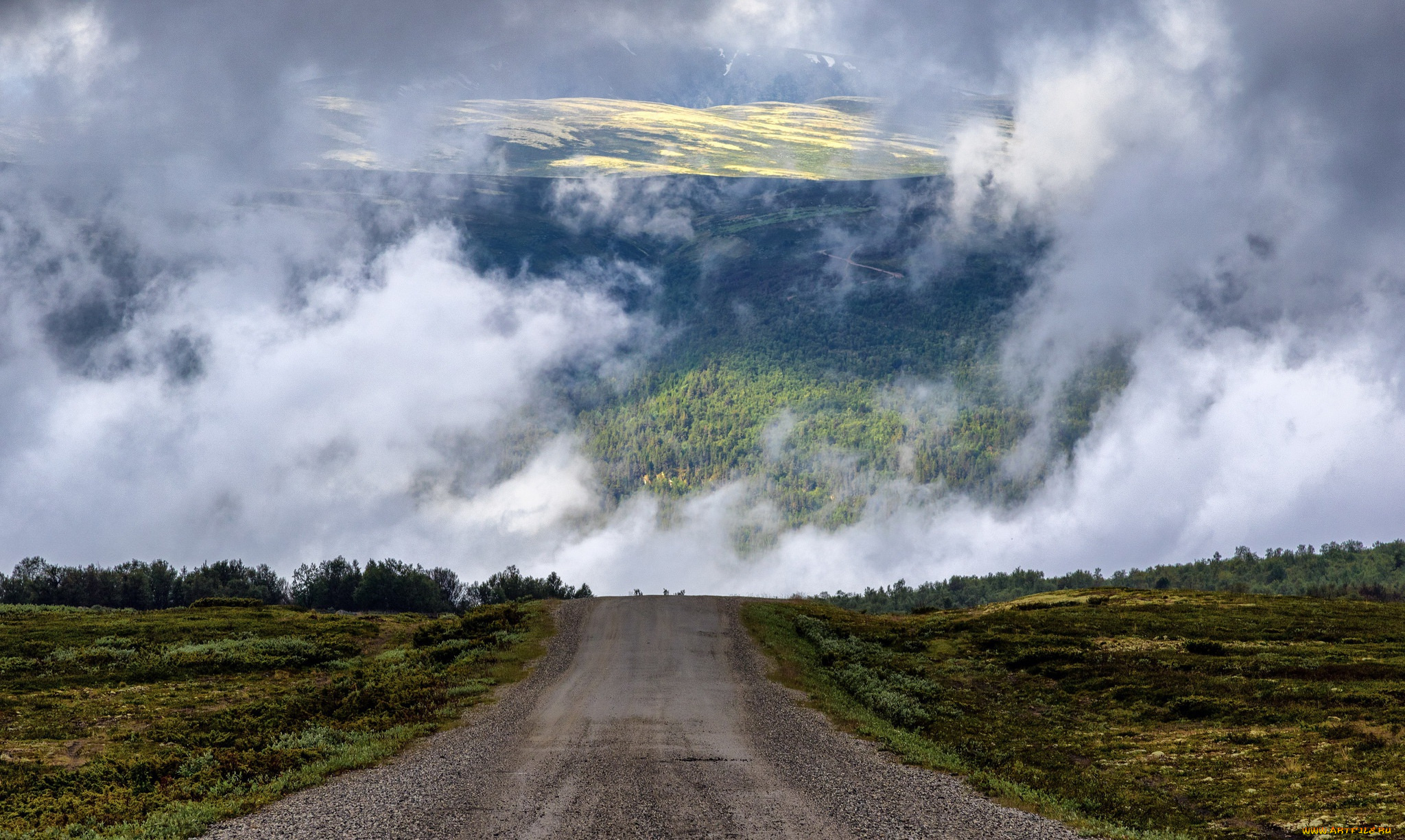 природа, дороги, дорога, туман