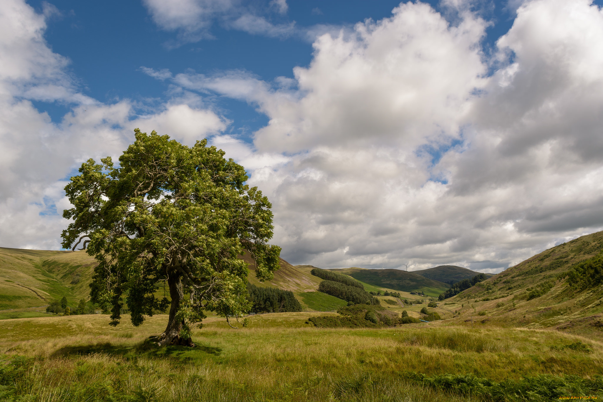 природа, пейзажи, простор