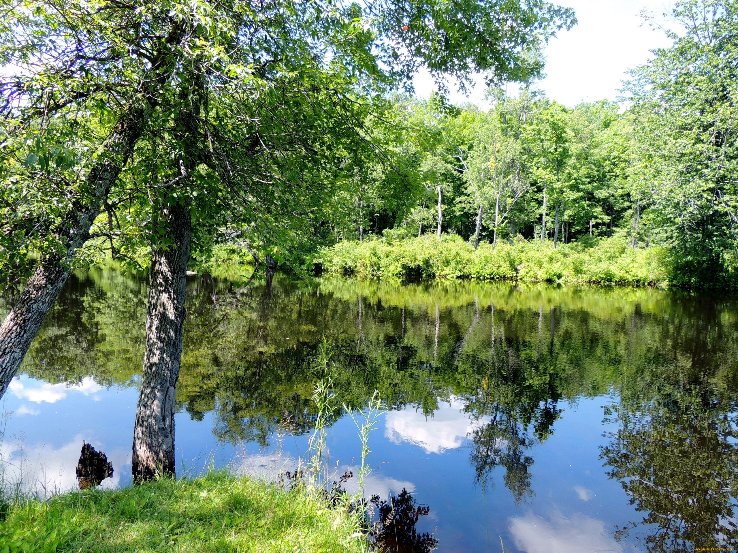 природа, реки, озера, вода, отражение