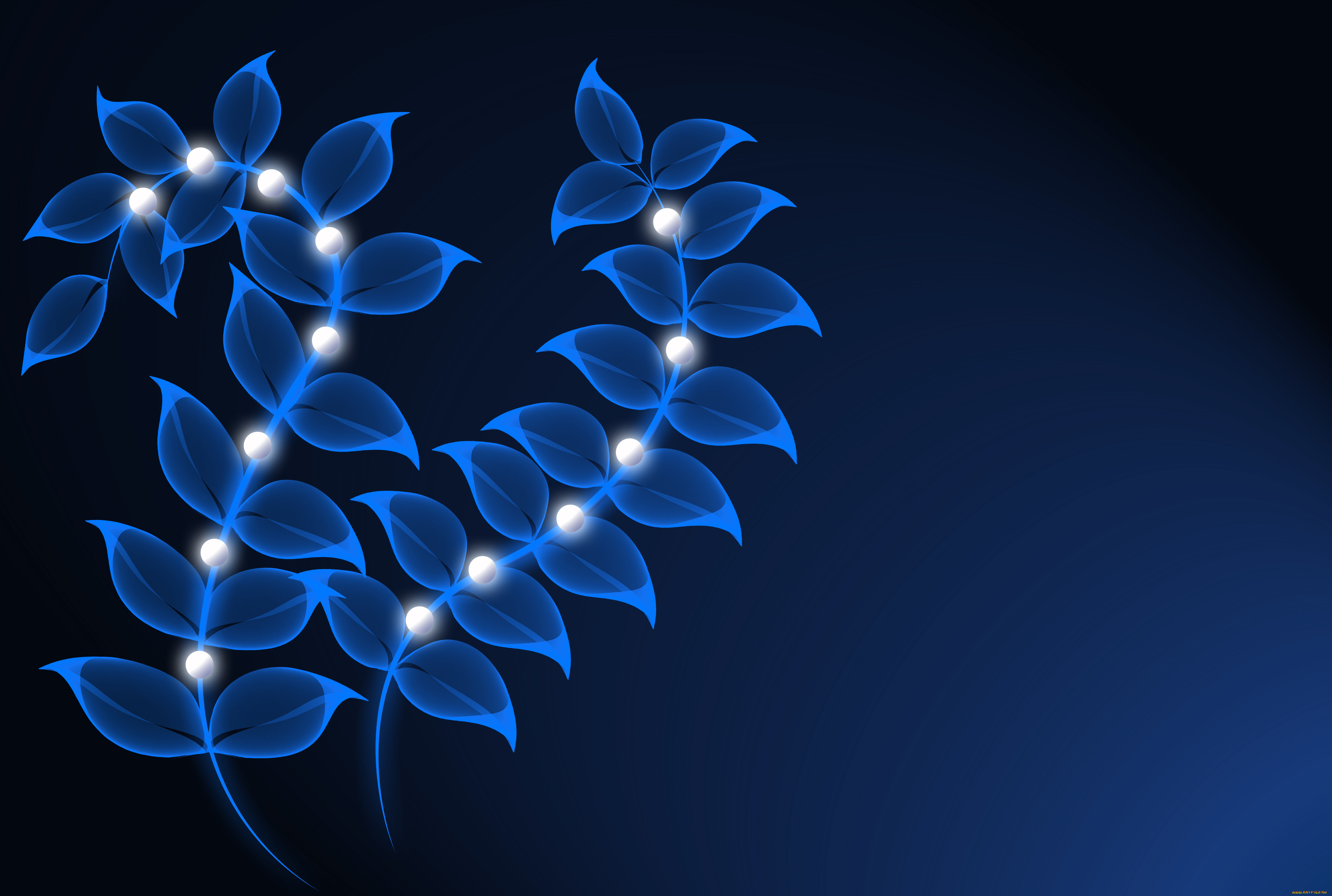 векторная, графика, природа, , nature, листья, фон