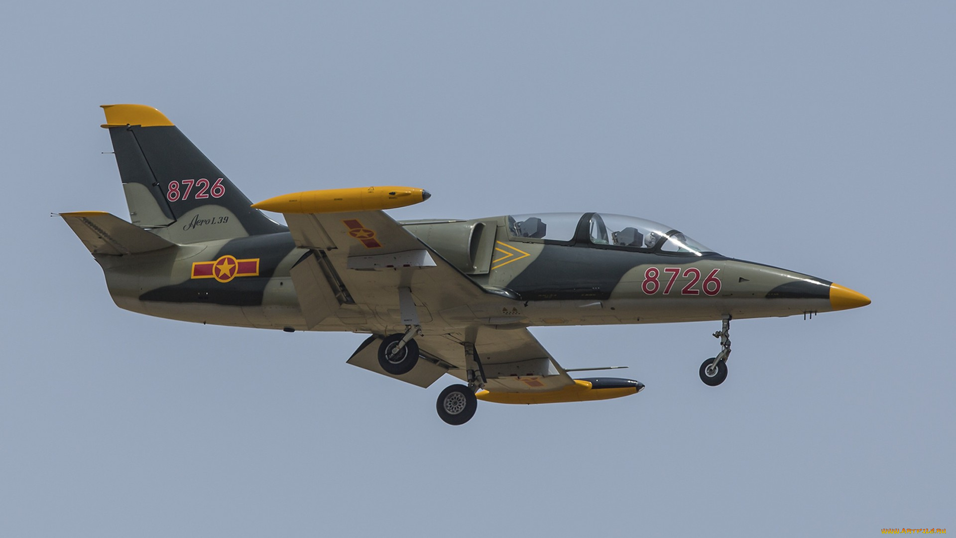 aero, l-39, авиация, боевые, самолёты, ввс