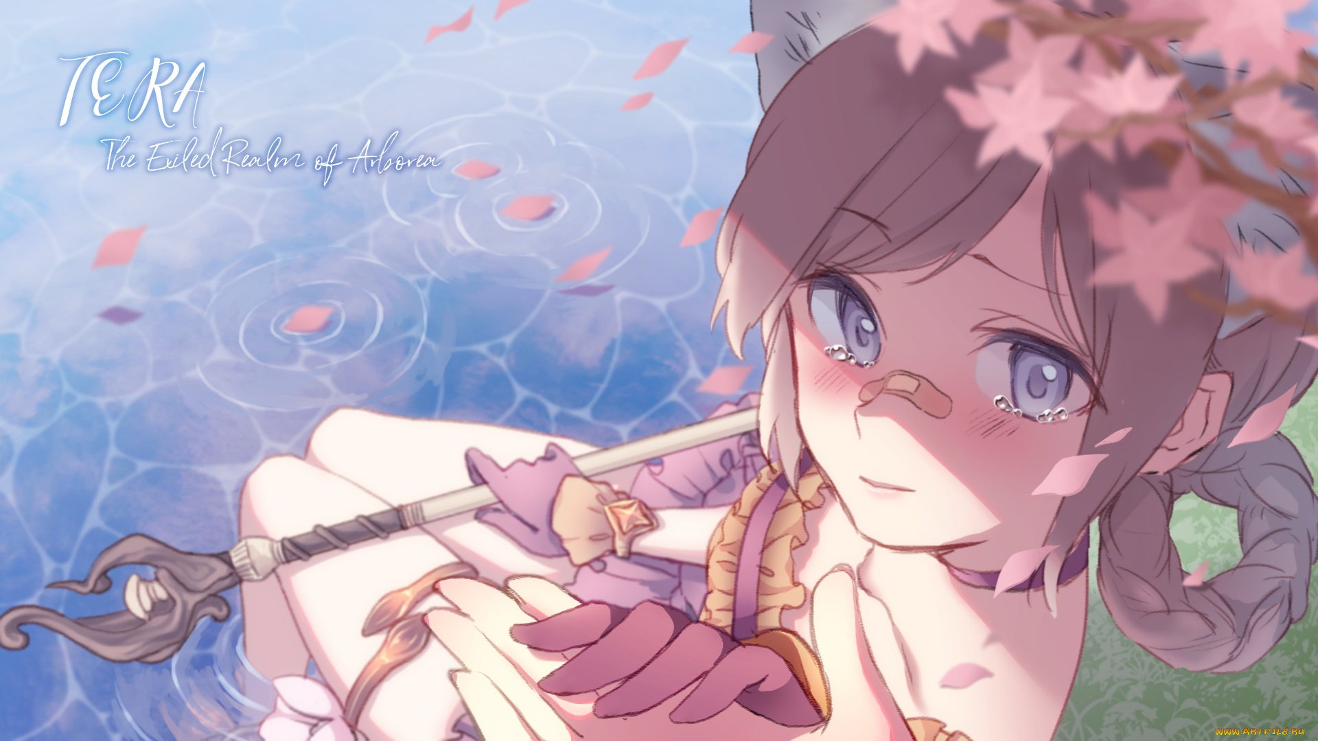 аниме, unknown, , другое, , tera, online