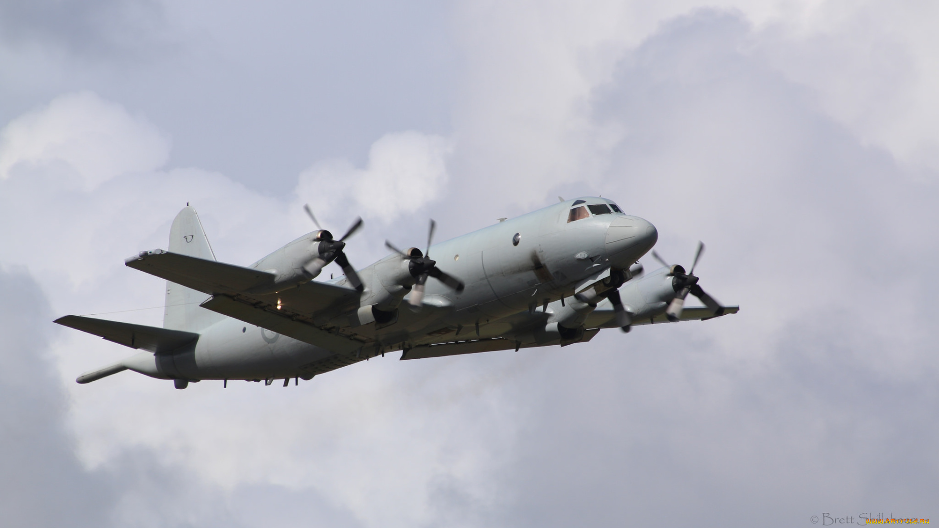 ap-3c, авиация, боевые, самолёты, ввс