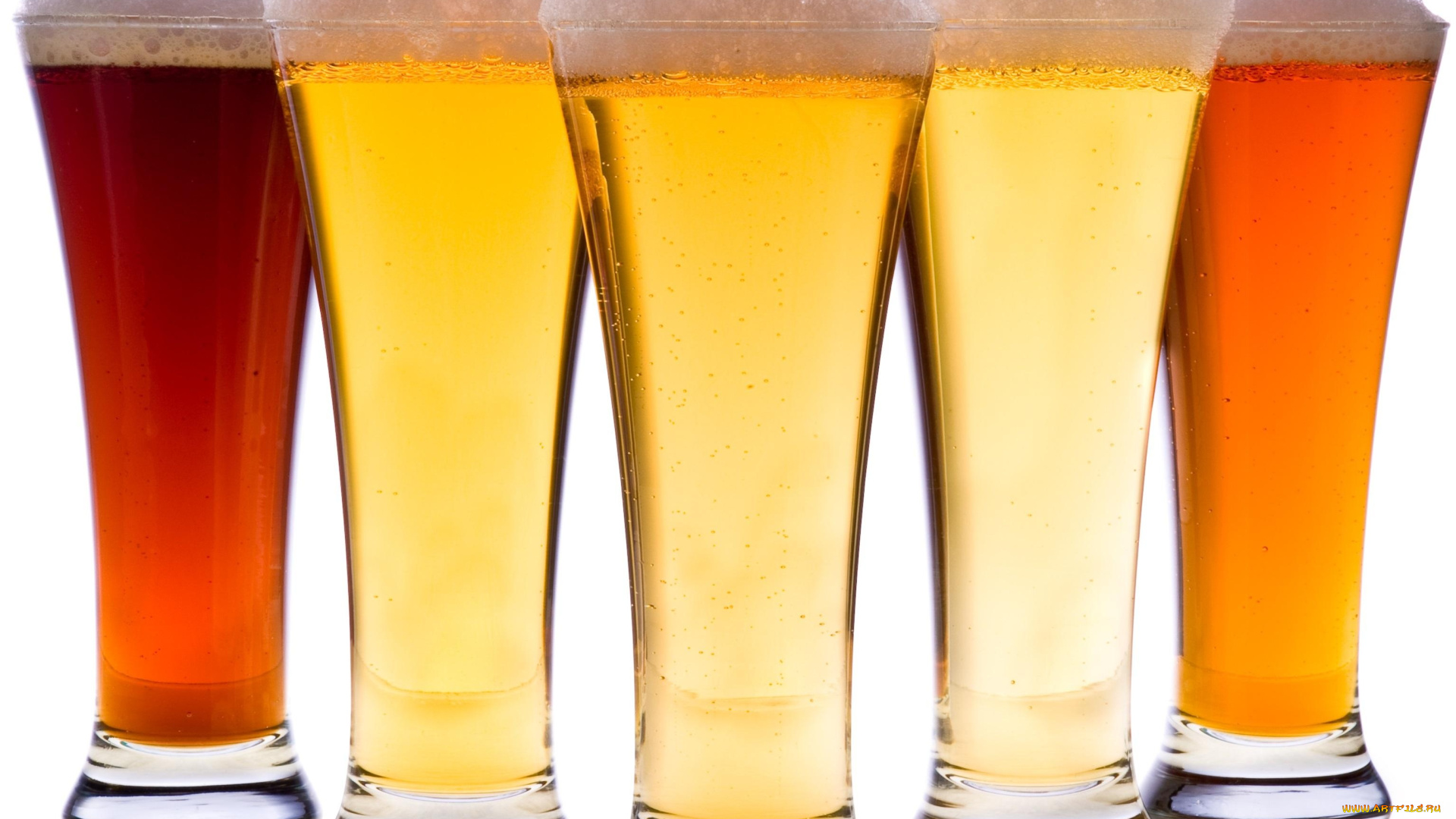 еда, напитки, , пиво, ассорти, пиво, бокалы