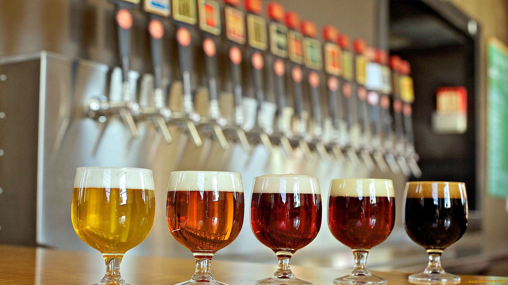 еда, напитки, , пиво, бокалы, ассорти, пена, пиво