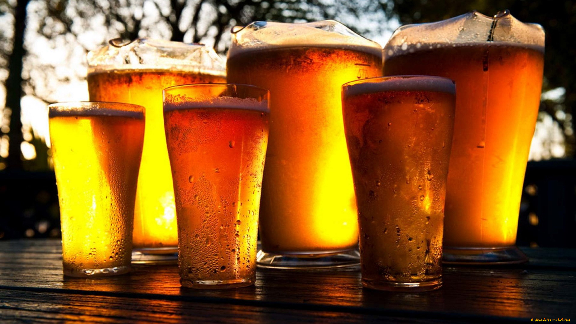 еда, напитки, , пиво, пена, пиво, бокалы