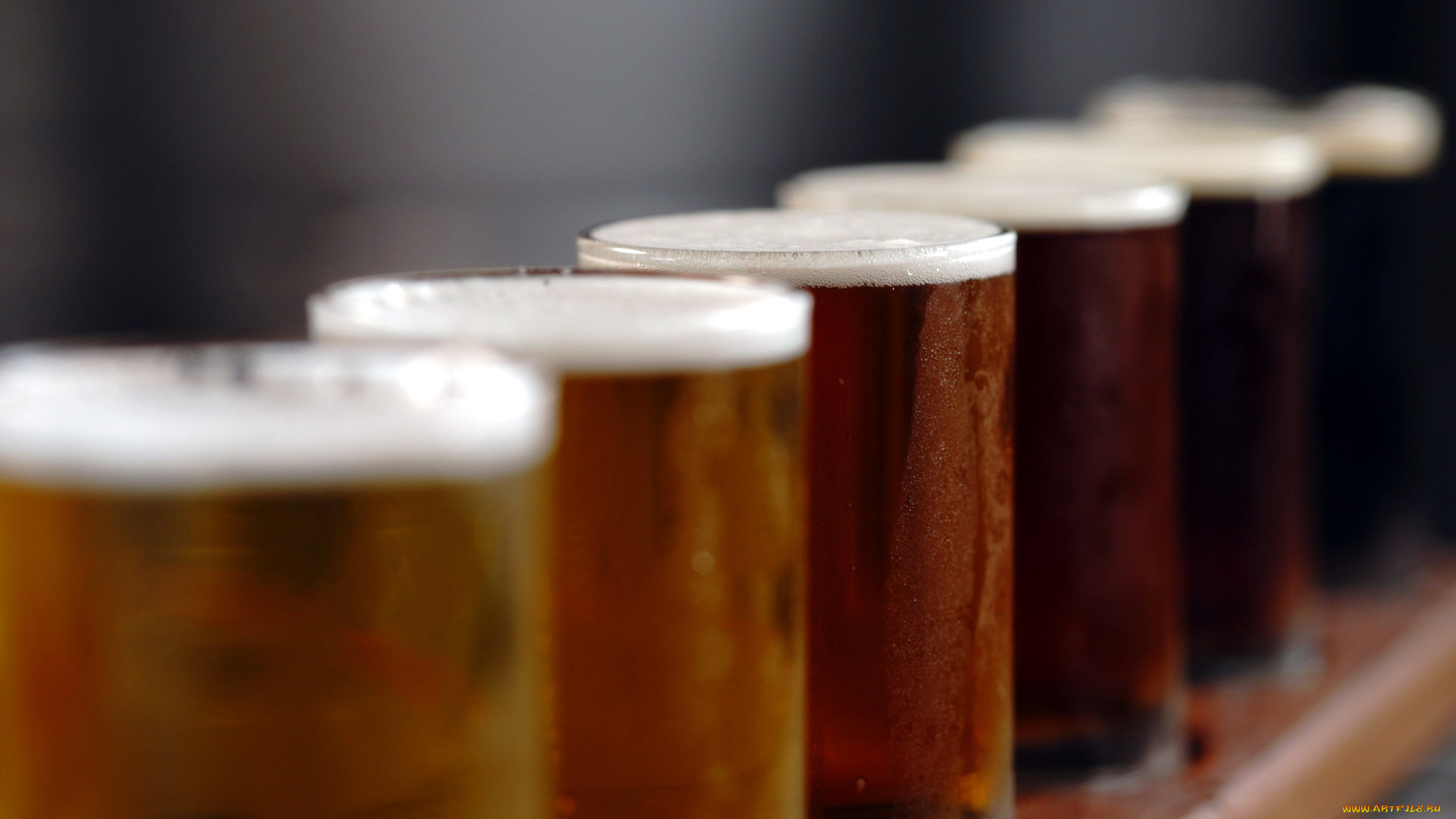 еда, напитки, , пиво, пиво, бокалы, ассорти