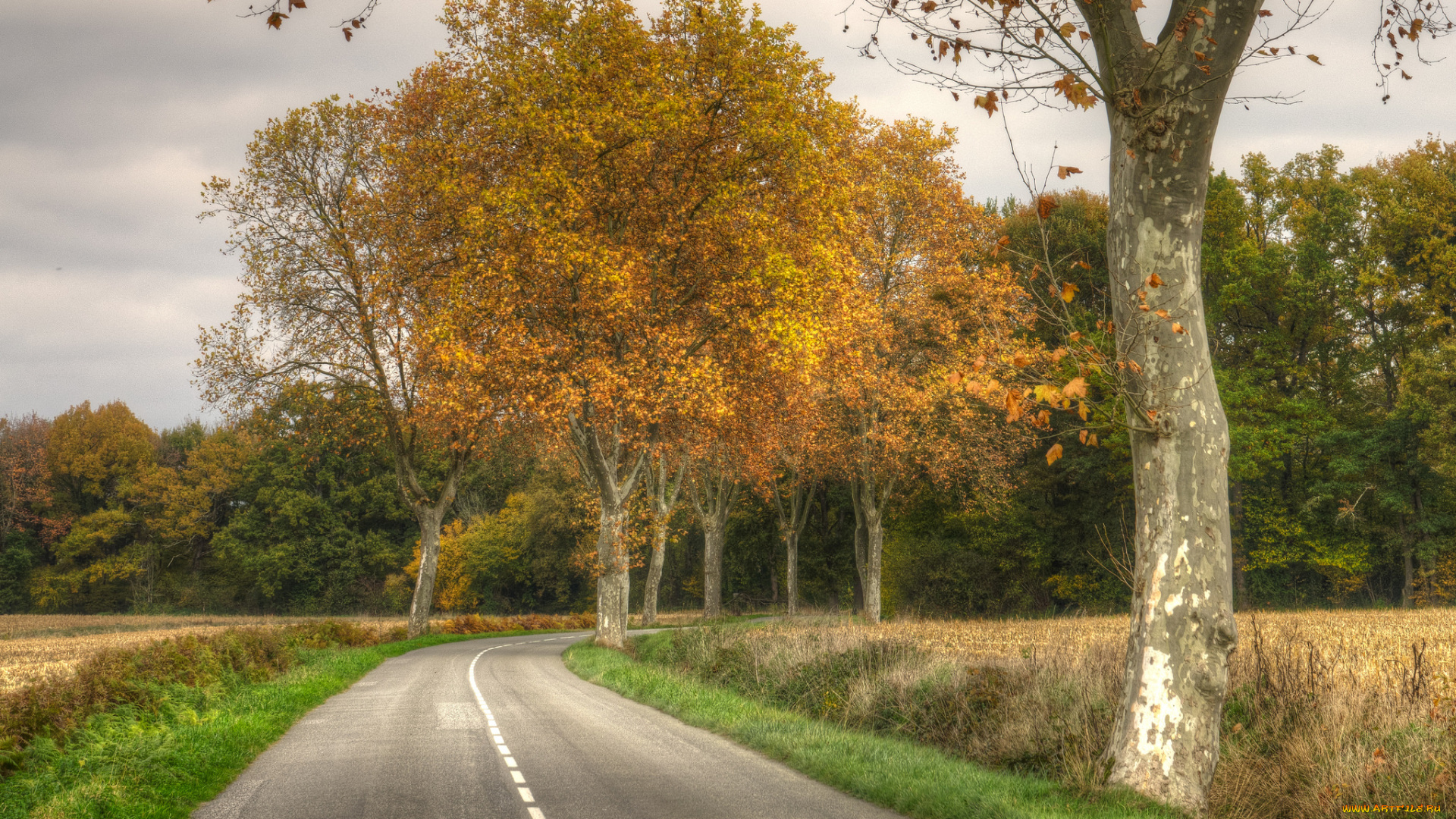 природа, дороги, простор