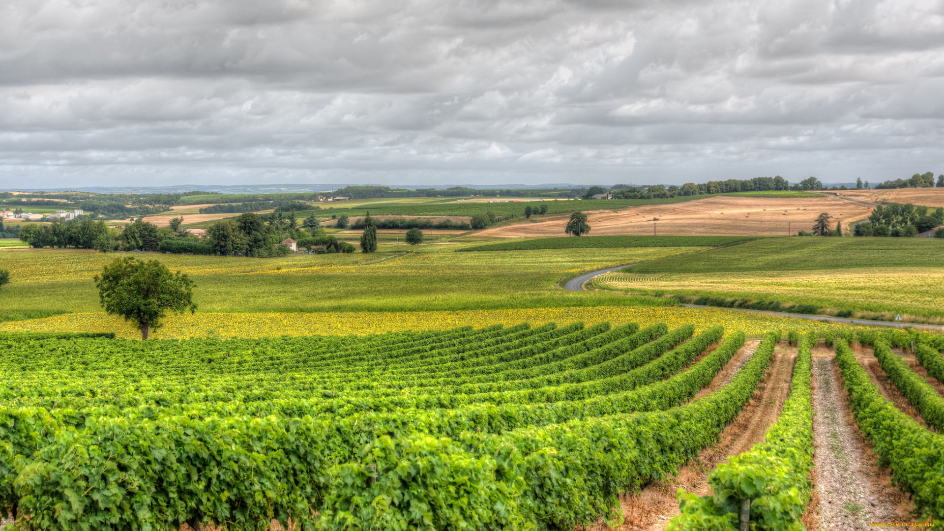 природа, дороги, простор