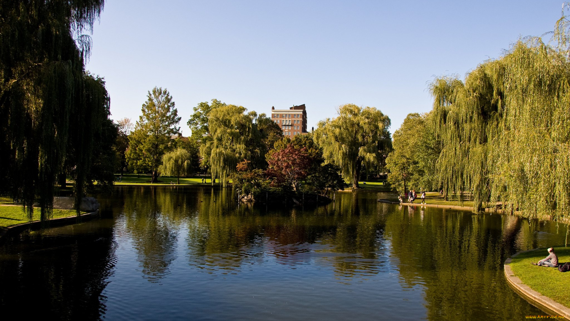 природа, парк, деревья, озеро