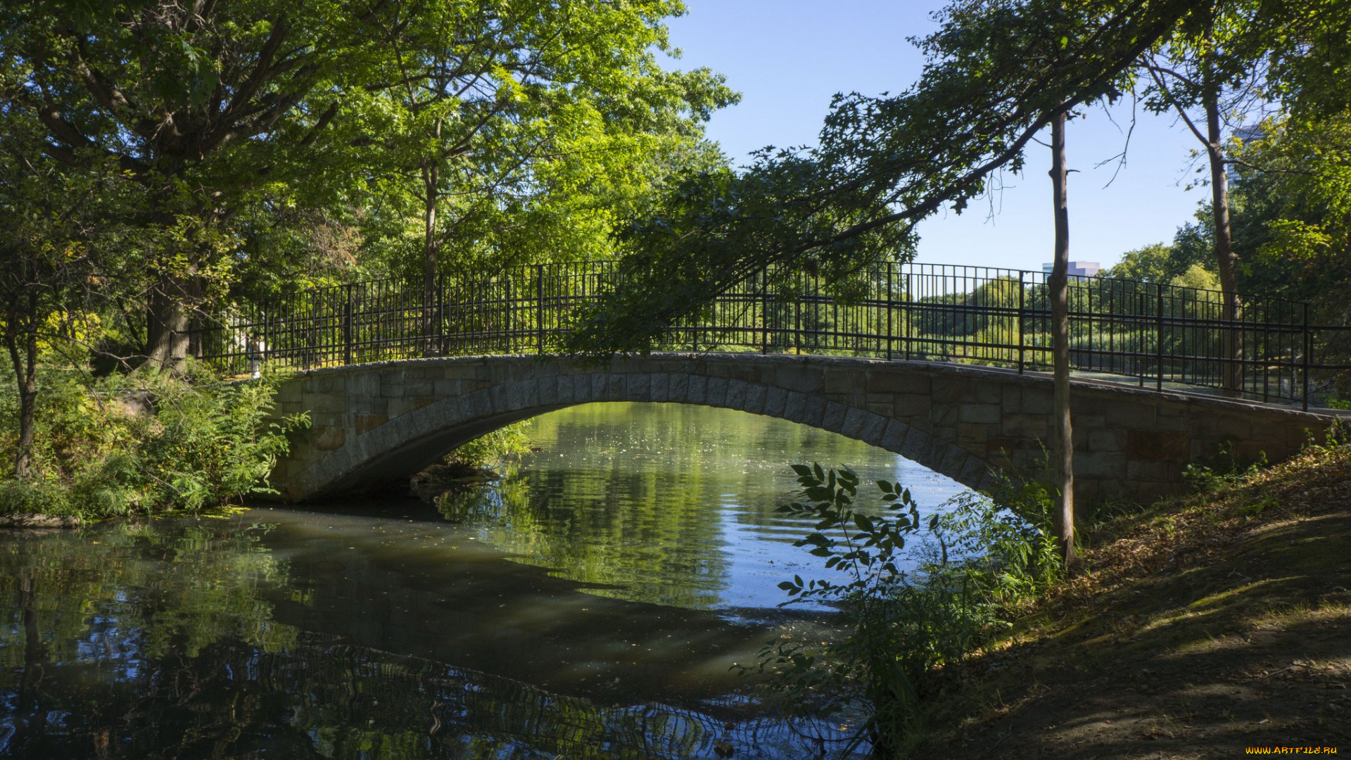 природа, парк, мостик, река