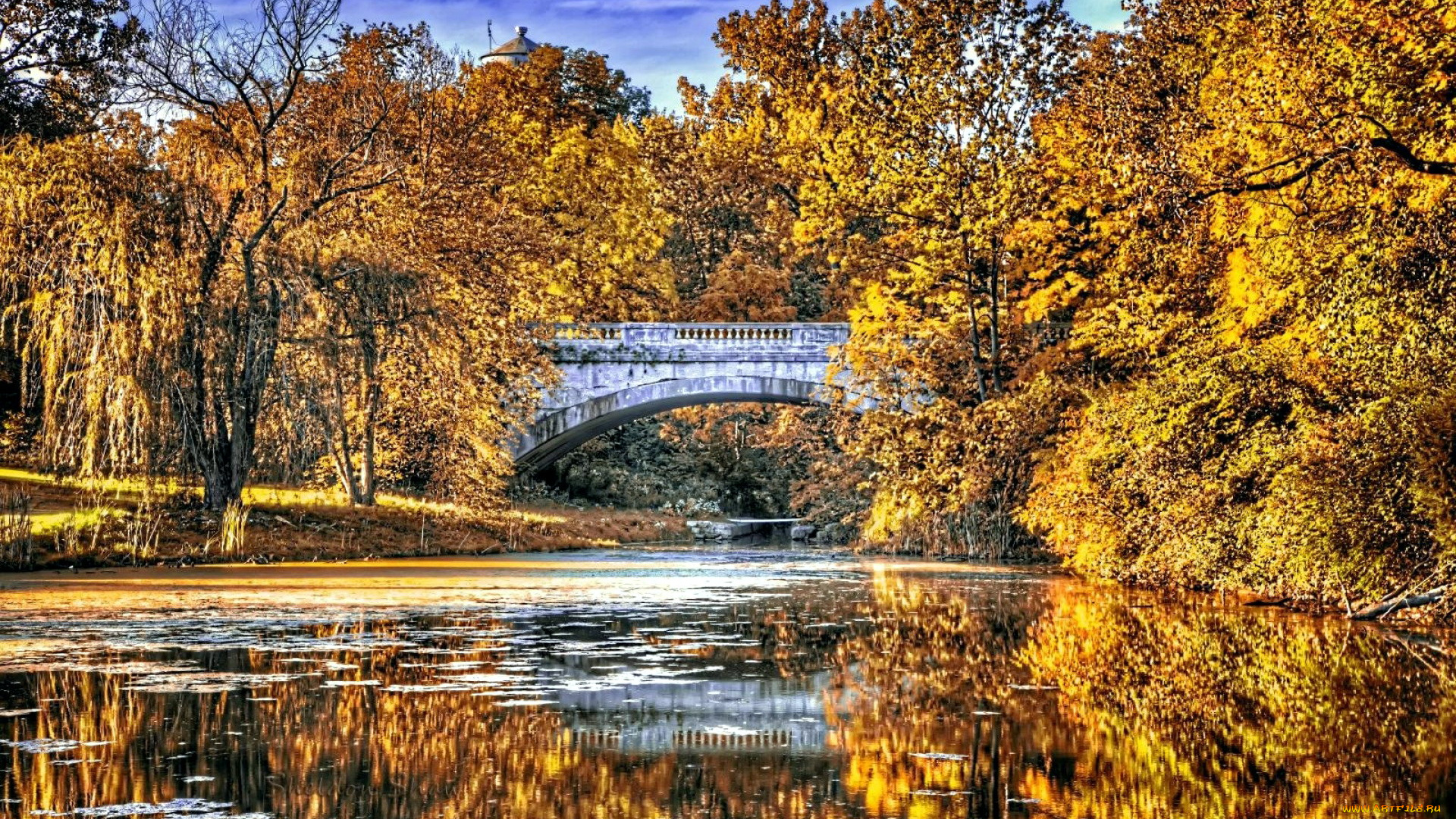 природа, парк, осень, мостик, водоем