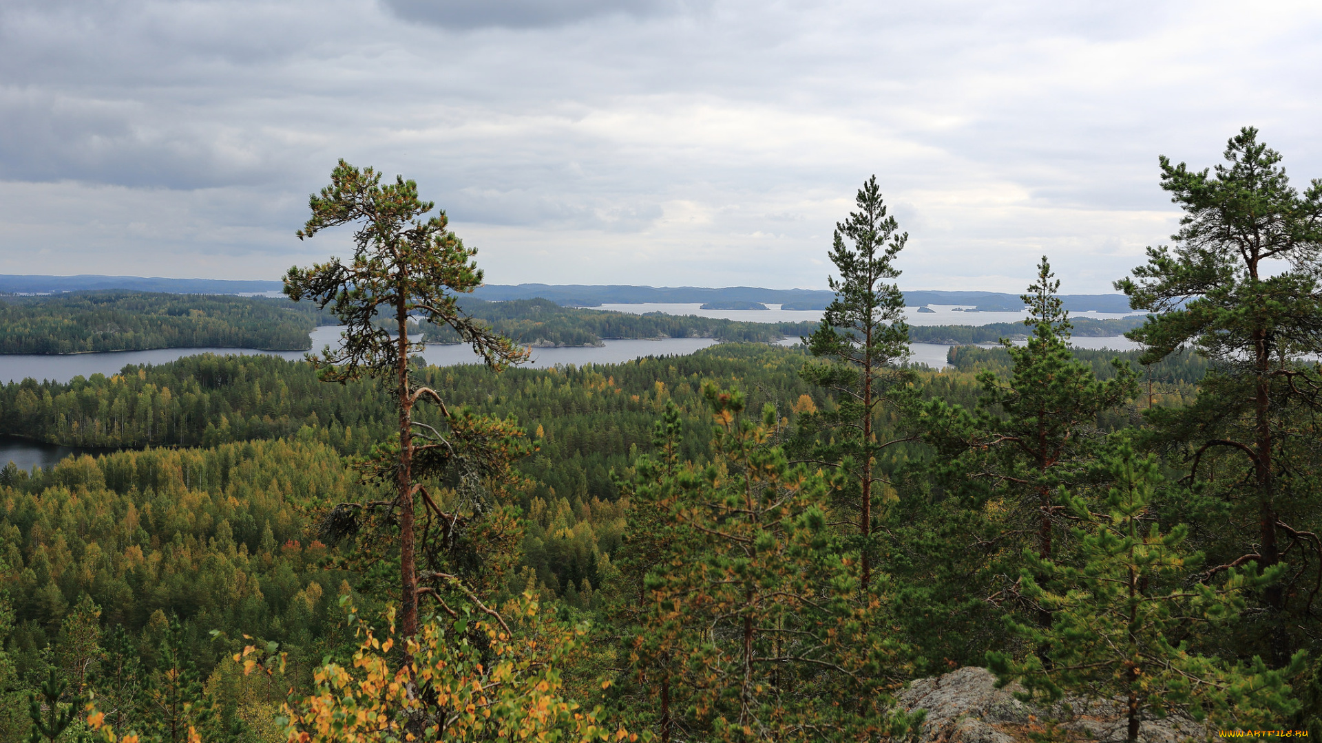 природа, пейзажи, простор
