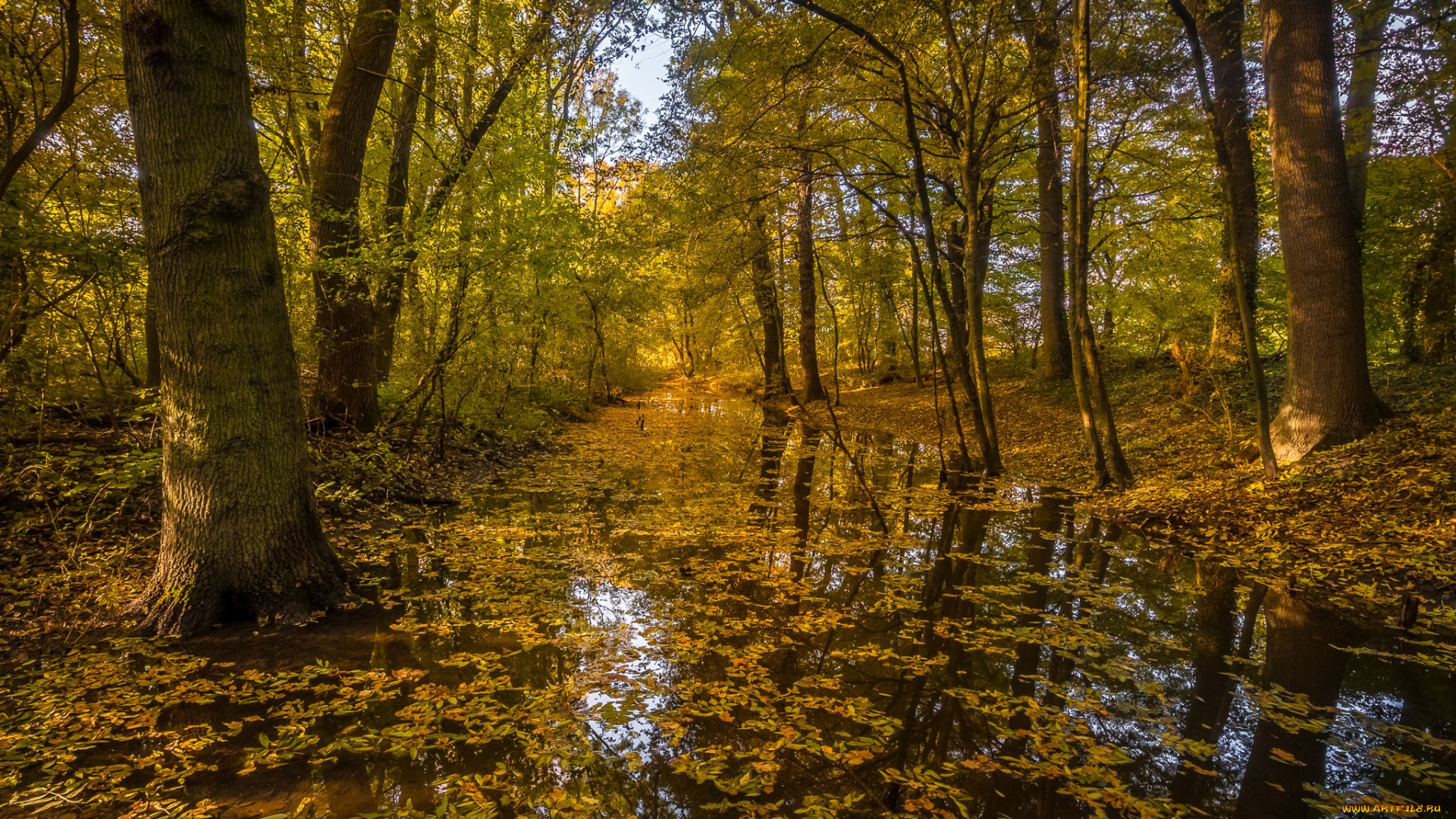 природа, реки, озера, простор