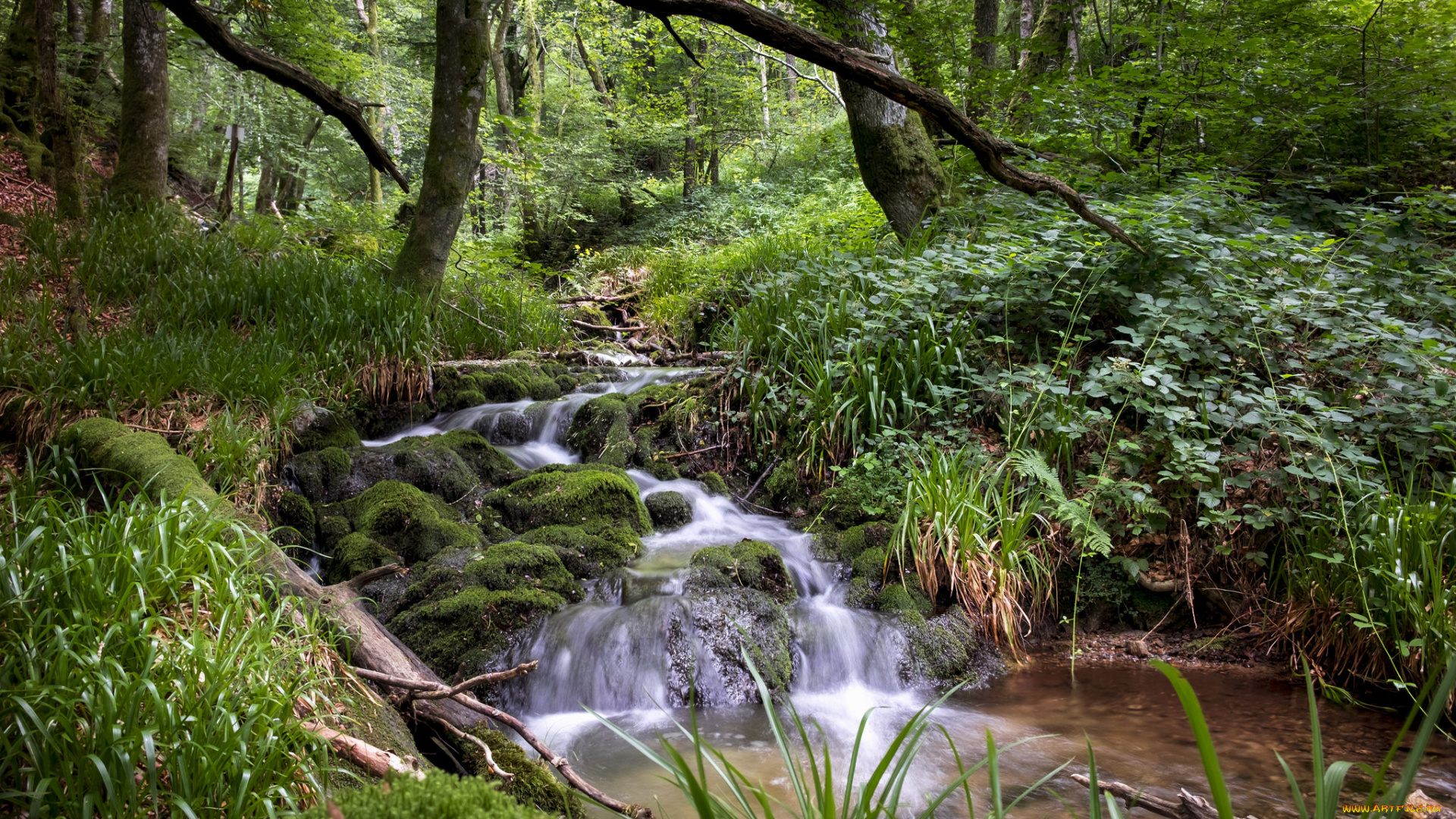 природа, реки, озера, простор
