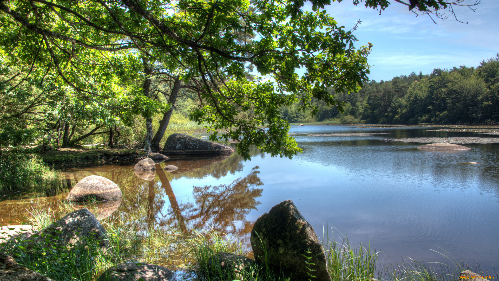 природа, реки, озера, простор