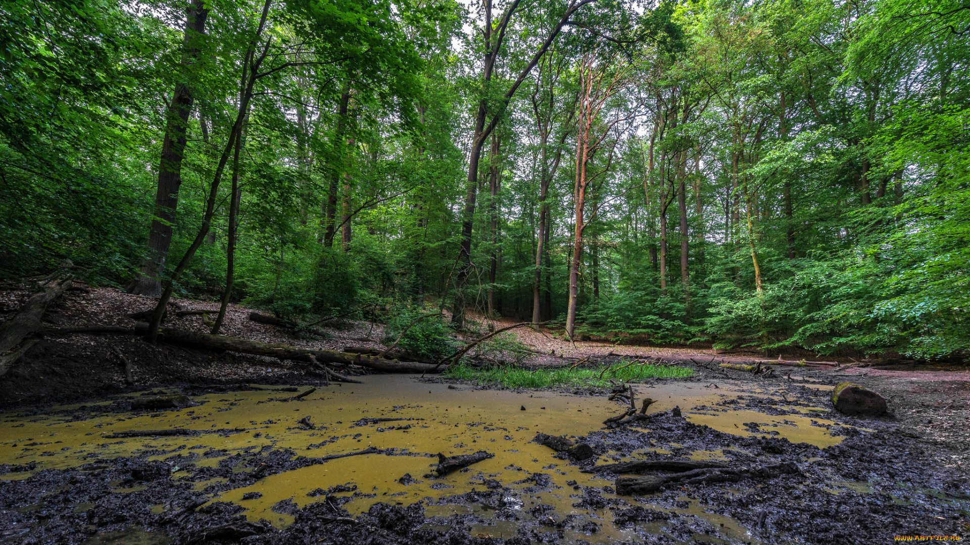 природа, реки, озера, простор