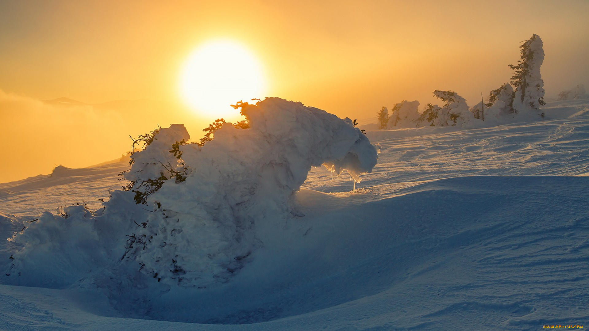 природа, зима, простор