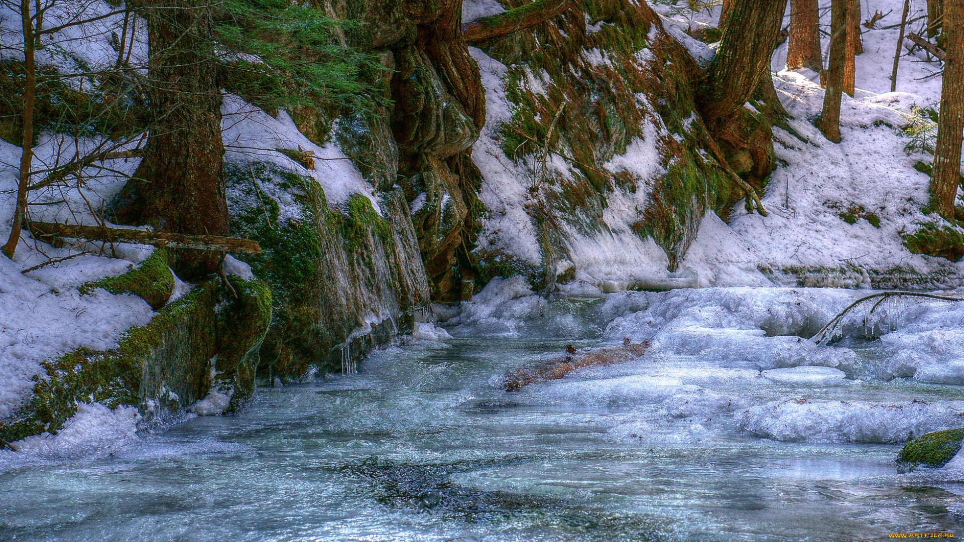 природа, зима, простор