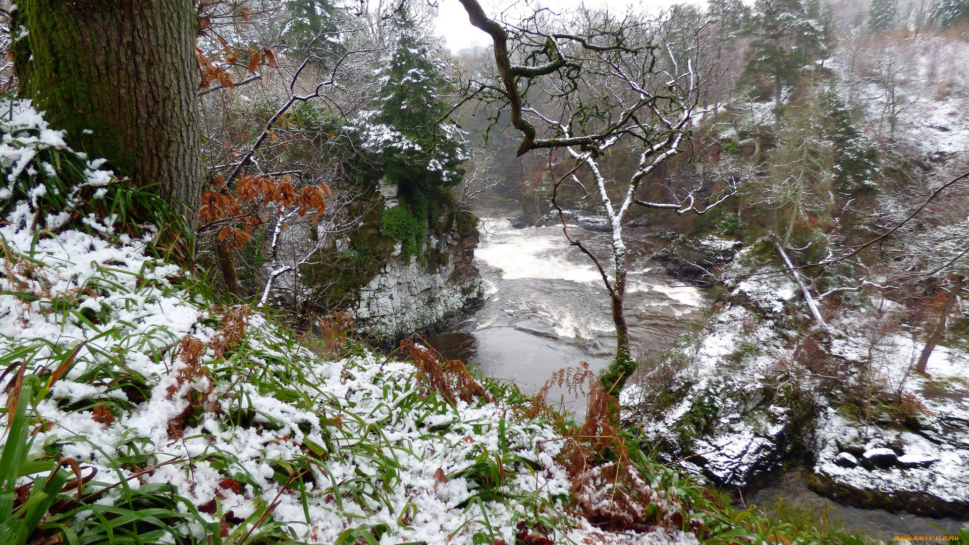 природа, зима, простор