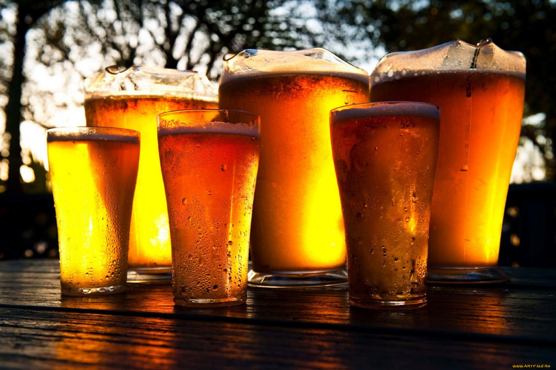 еда, напитки, , пиво, пена, пиво, бокалы