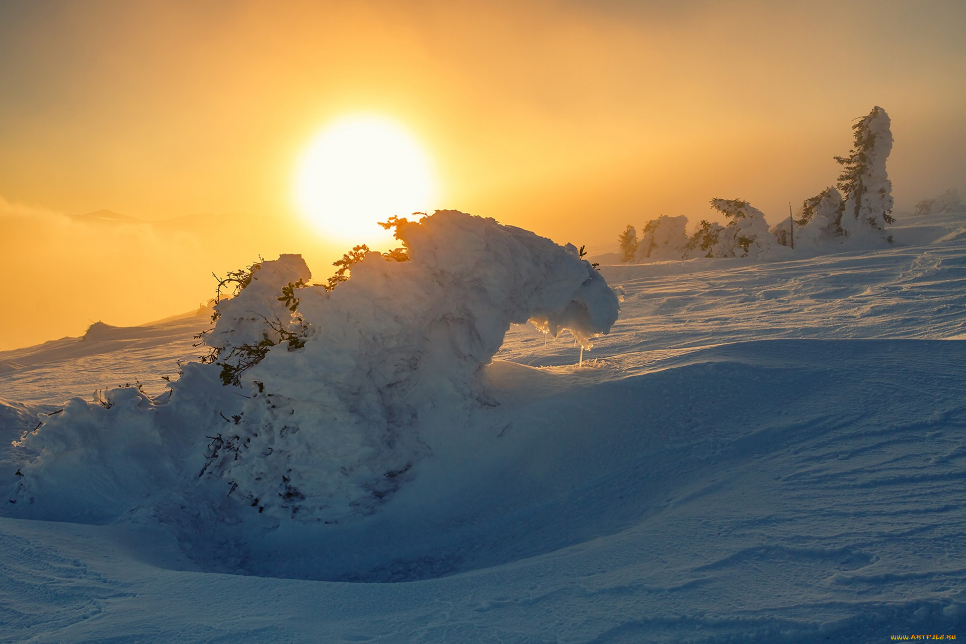 природа, зима, простор