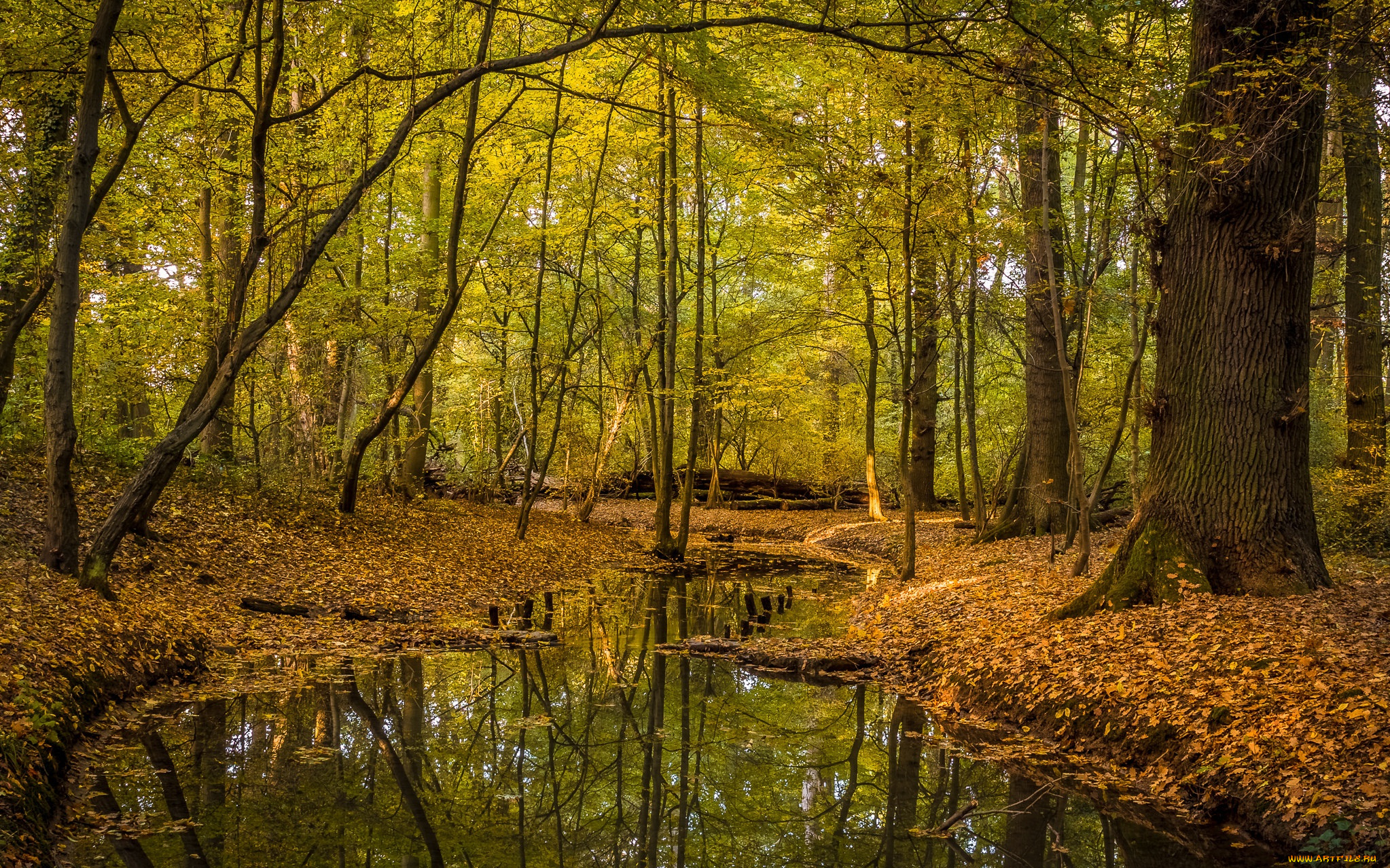 природа, реки, озера, простор