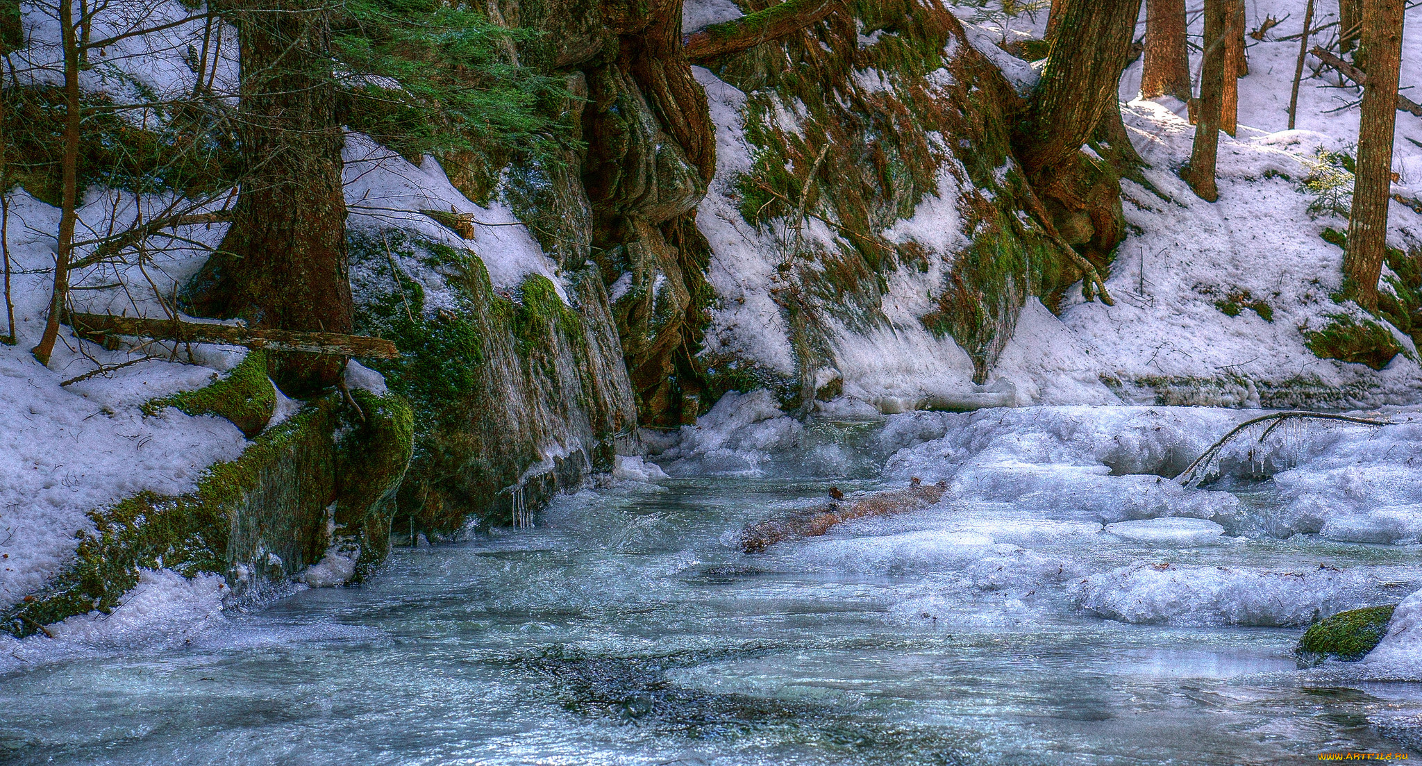 природа, зима, простор