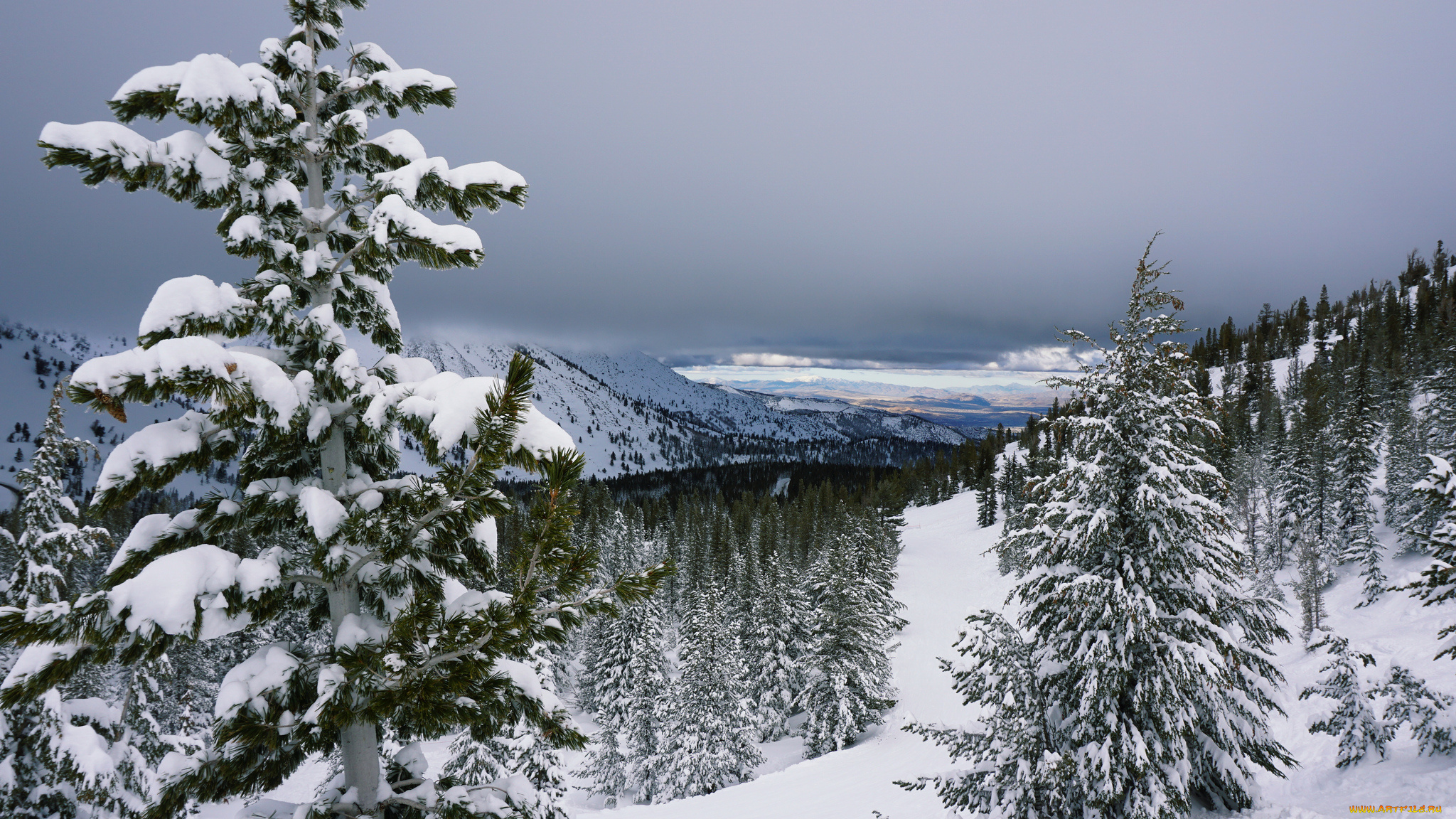 природа, пейзажи, простор