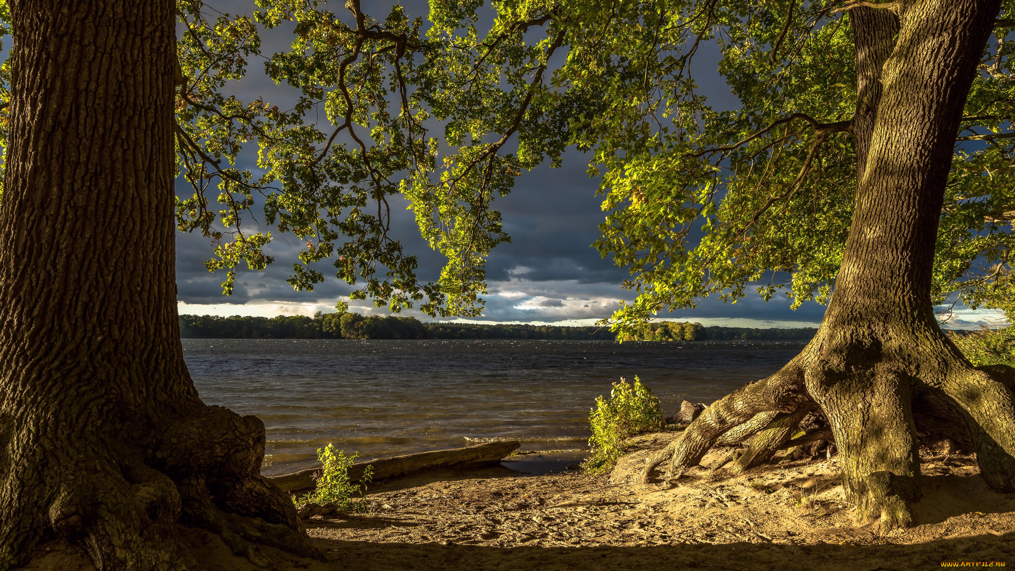 природа, реки, озера, простор