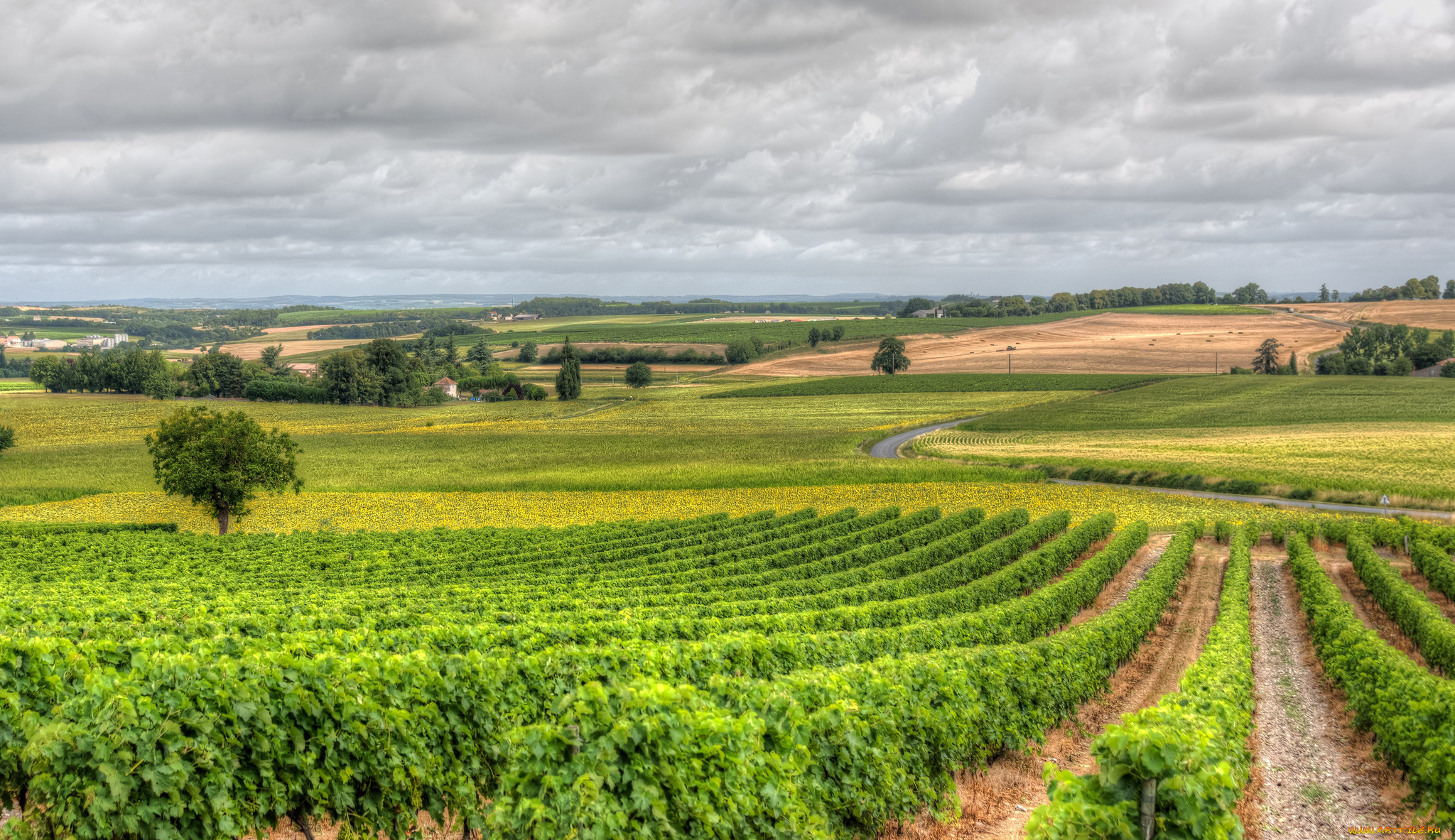 природа, дороги, простор