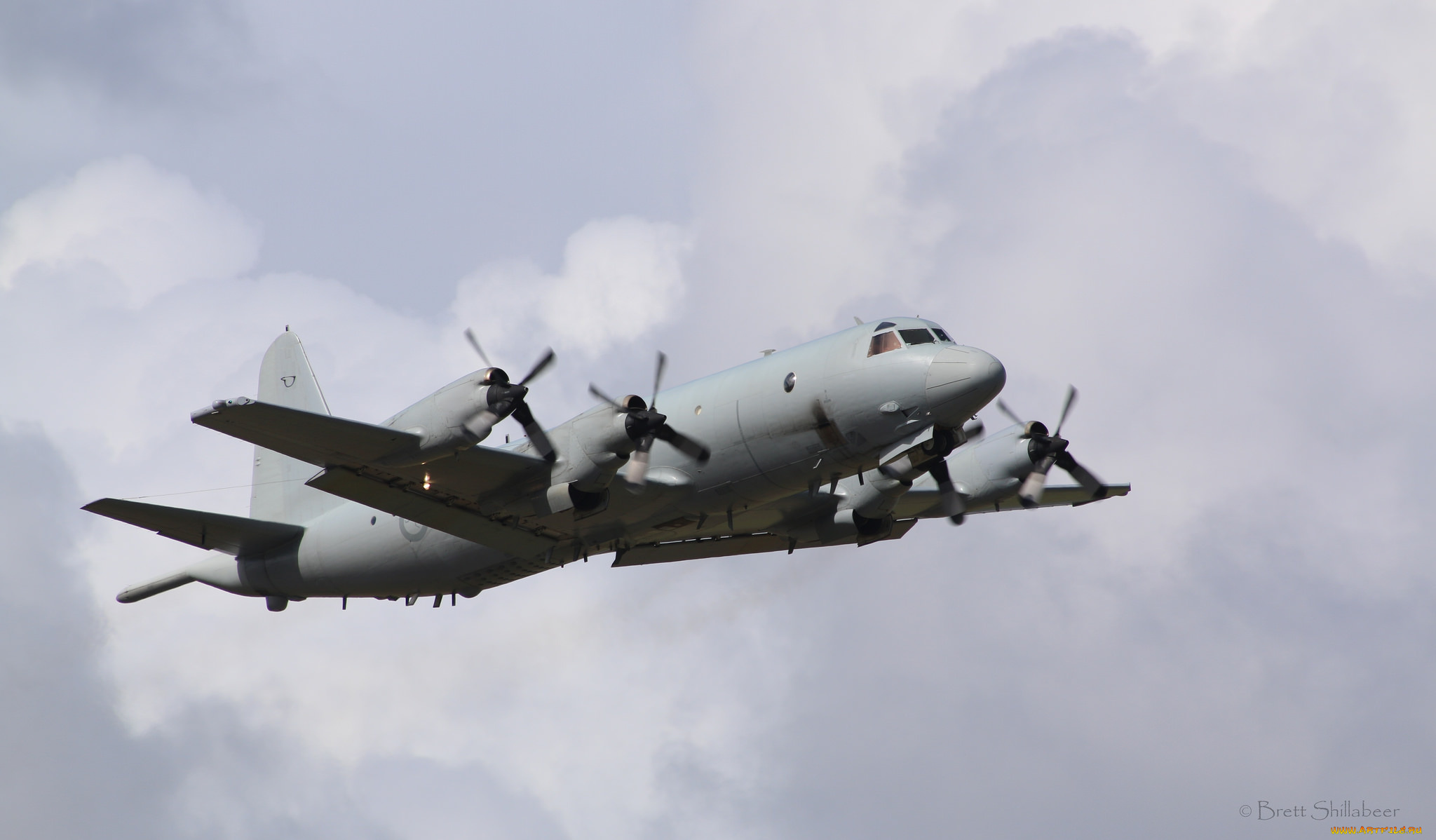 ap-3c, авиация, боевые, самолёты, ввс