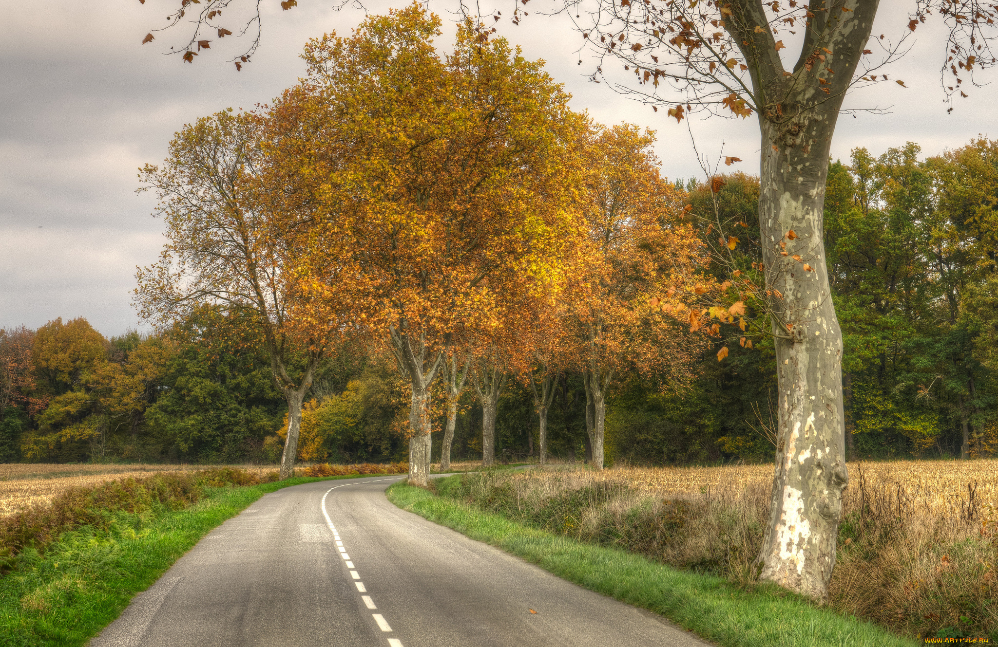 природа, дороги, простор