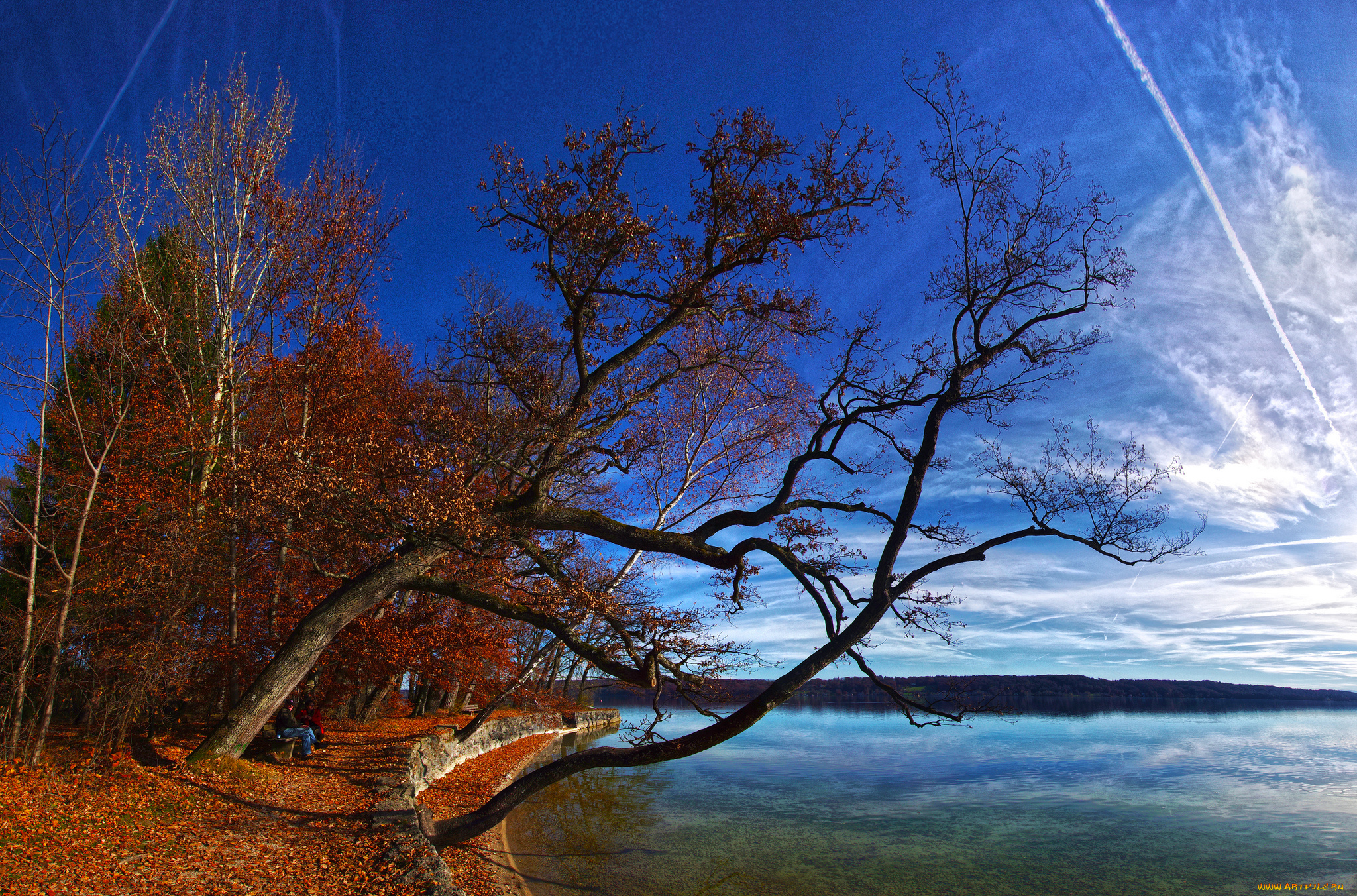 природа, реки, озера, простор