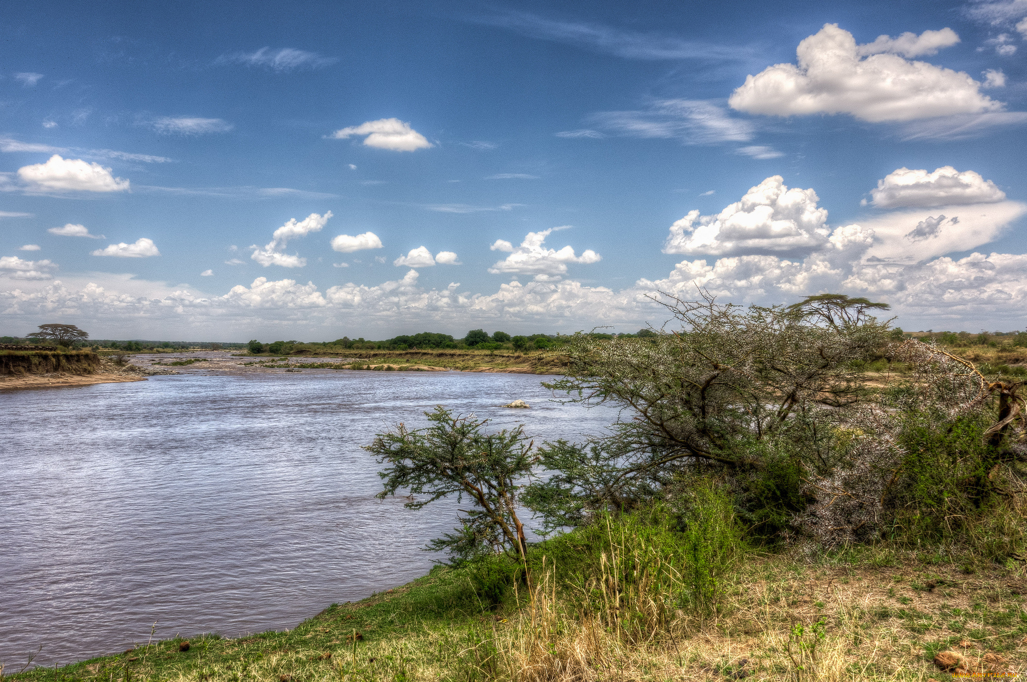 природа, реки, озера, простор