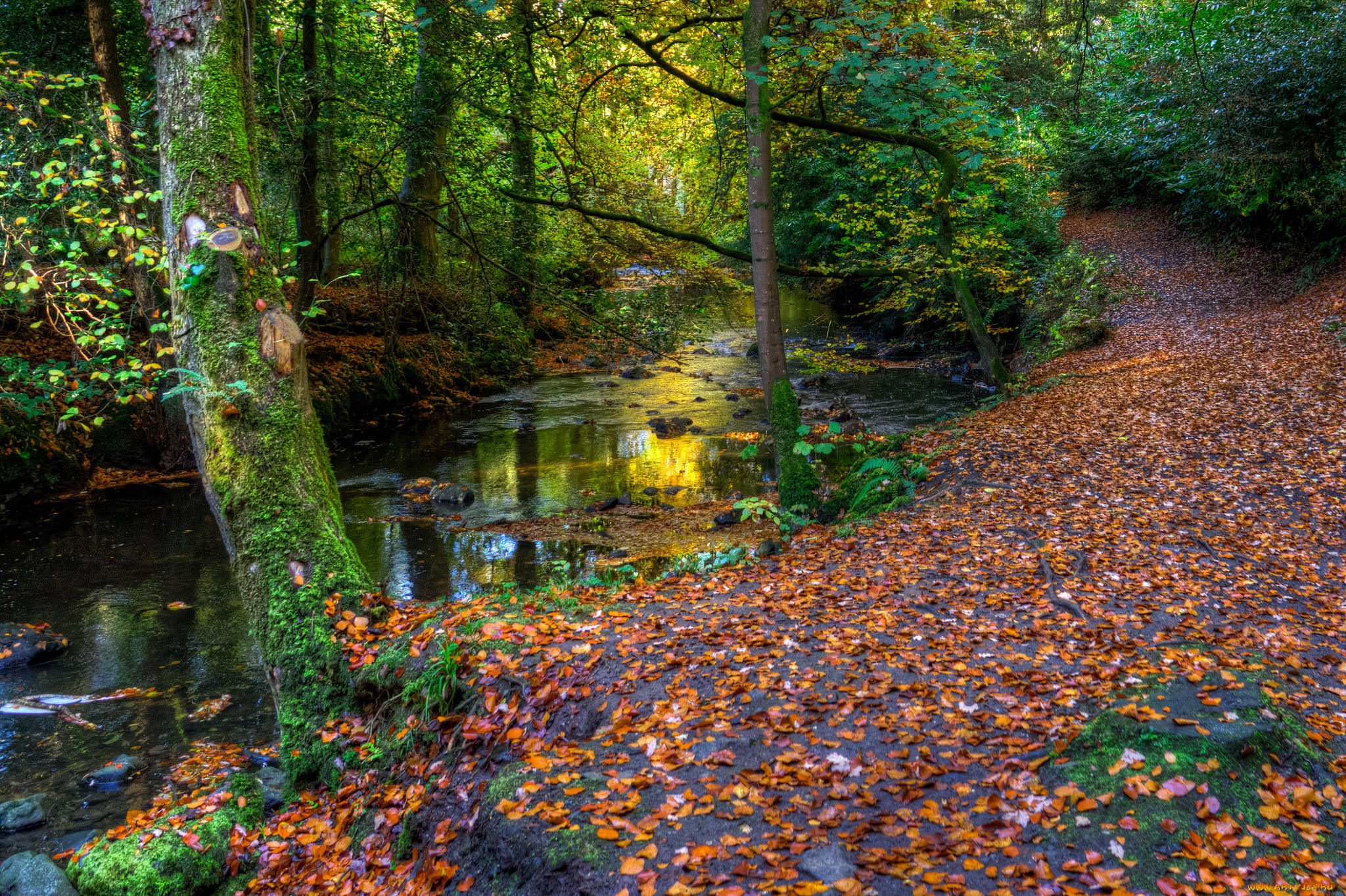 природа, реки, озера, простор