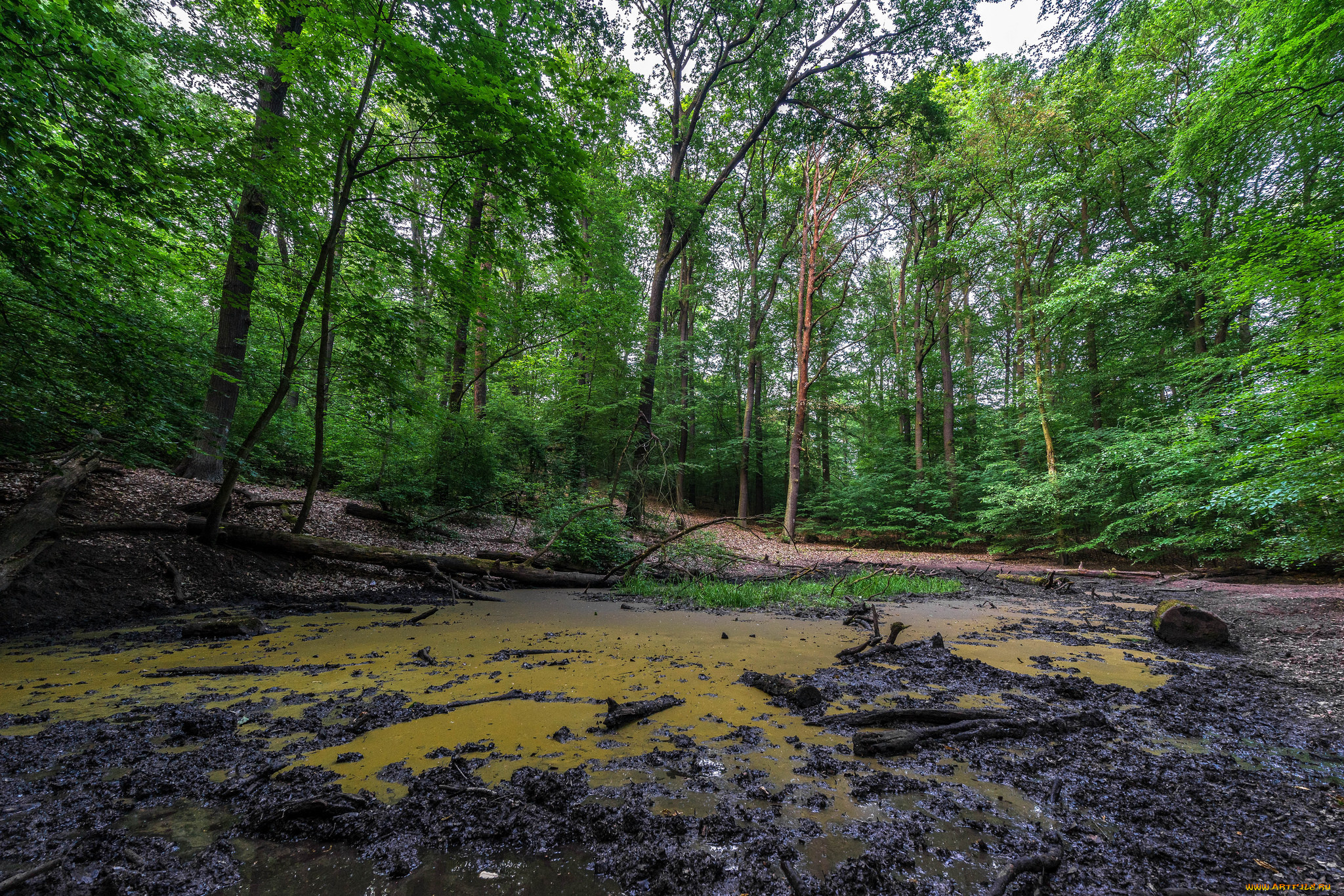 природа, реки, озера, простор