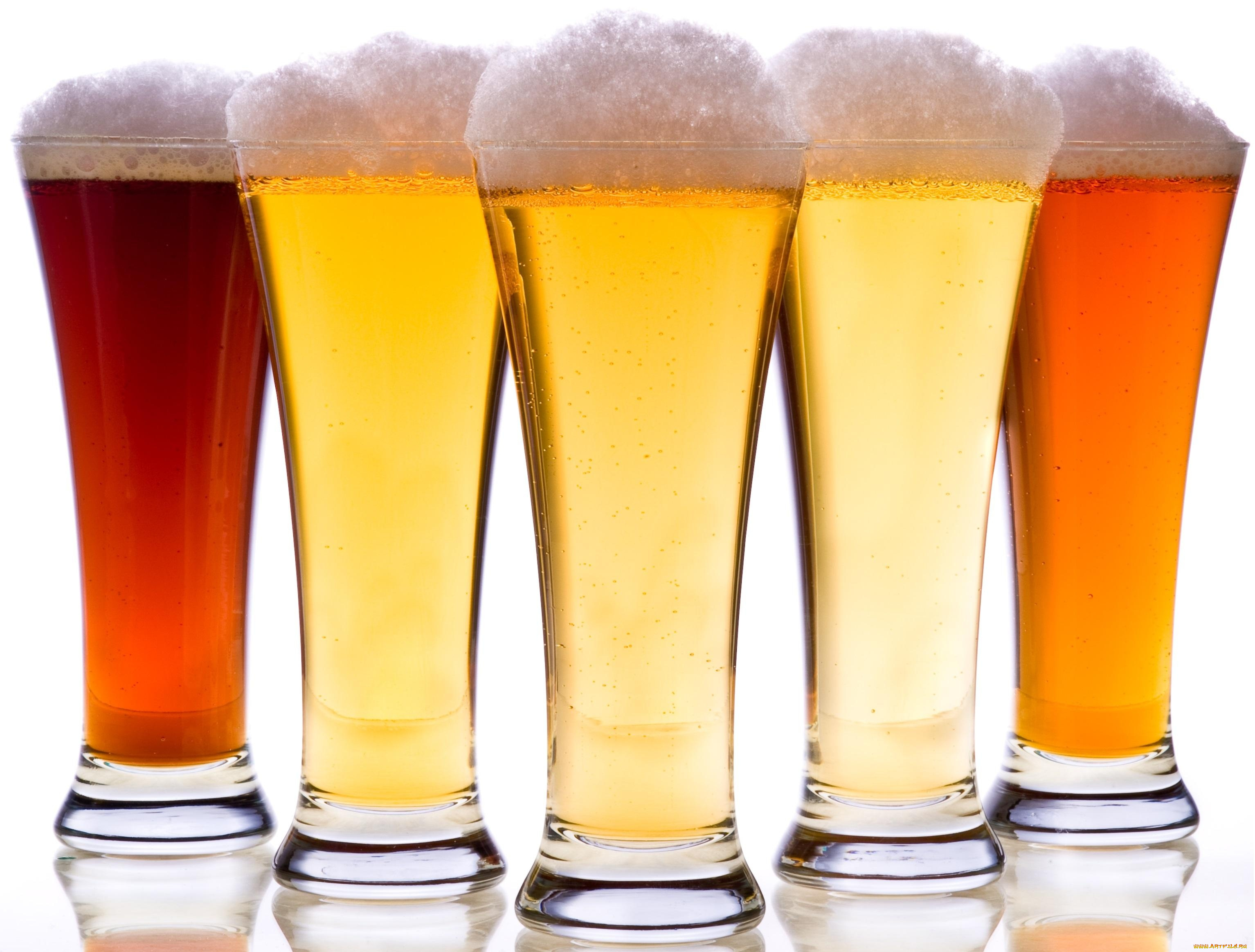 еда, напитки, , пиво, ассорти, пиво, бокалы