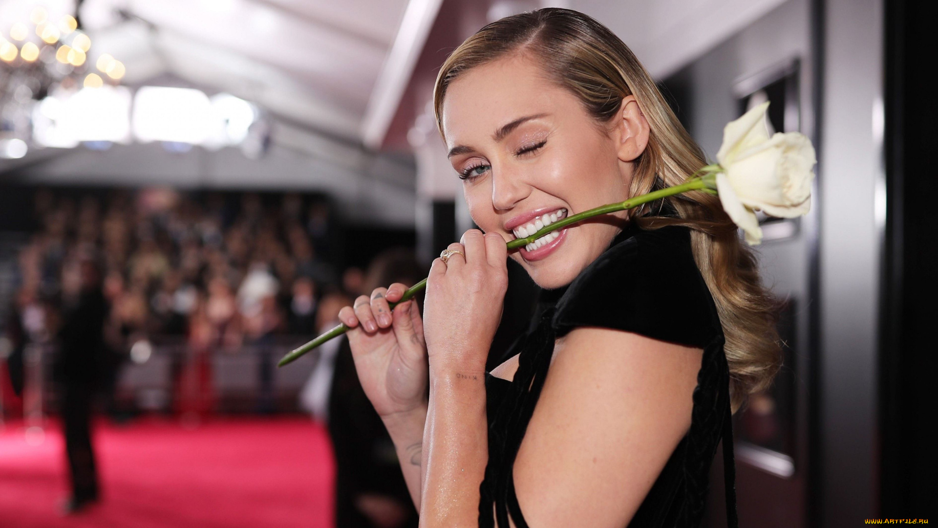 музыка, miley, cyrus, певица, блондинка, зубы, цветок, роза