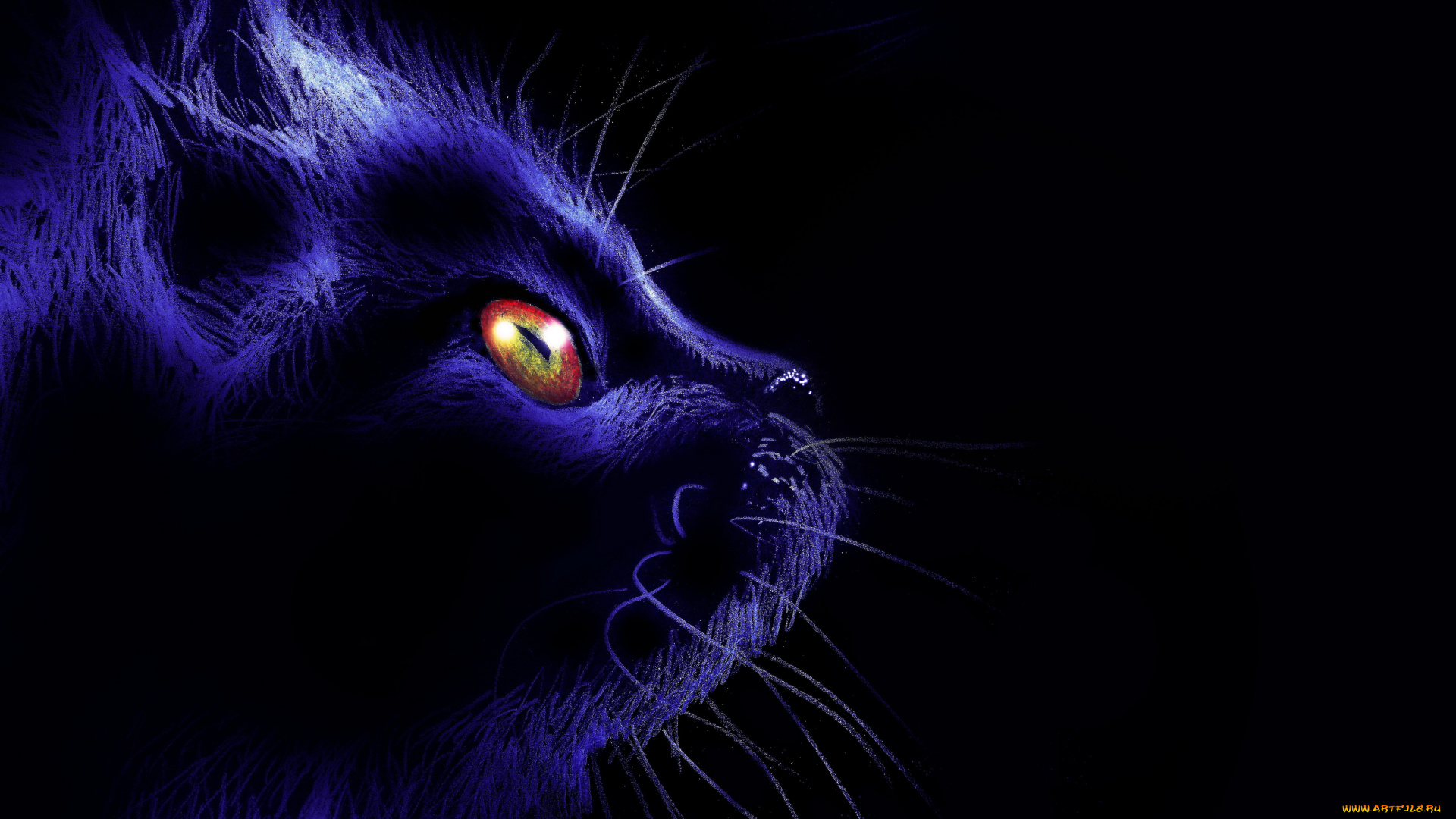 рисованное, животные, , коты, кот, фон