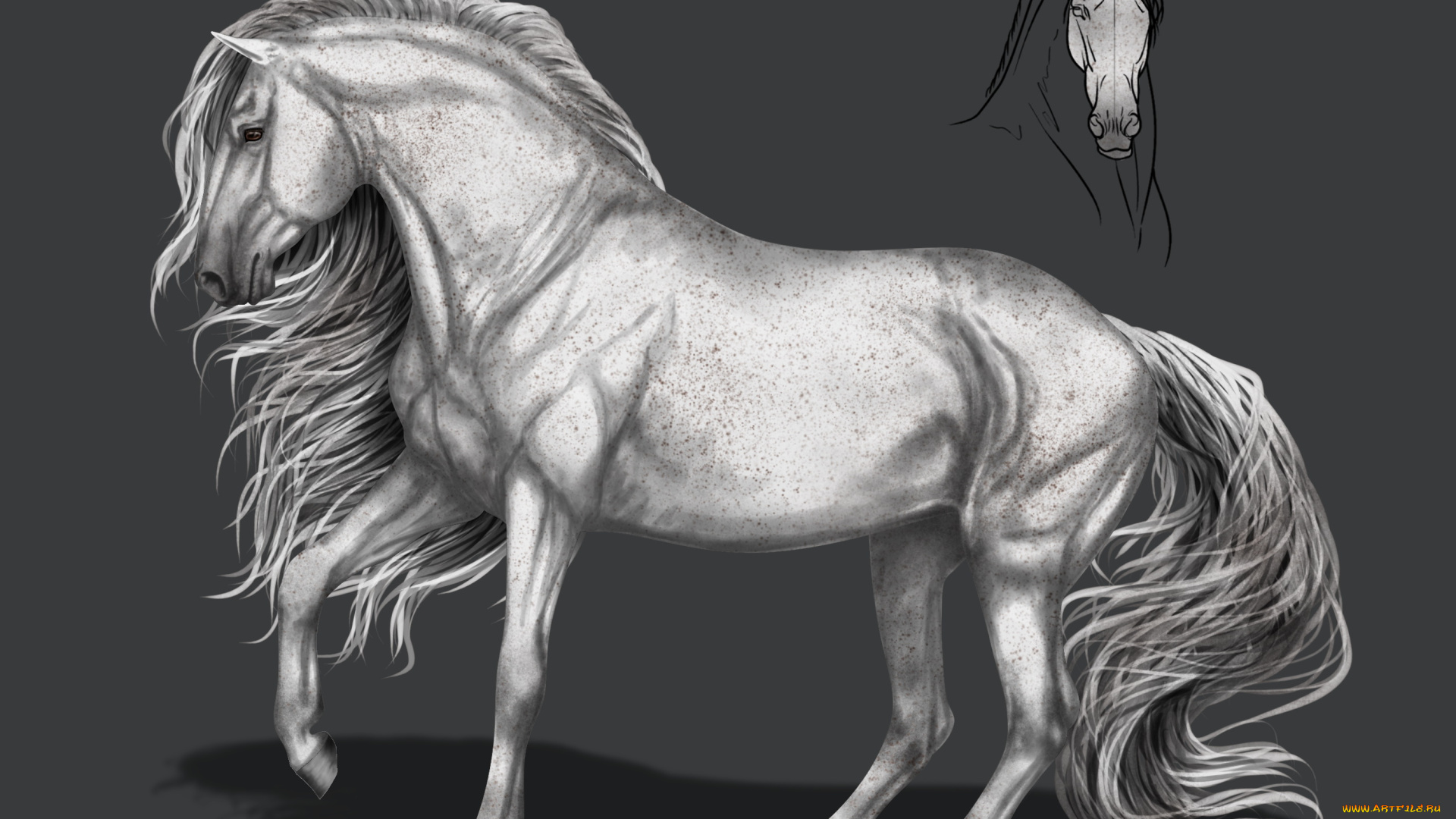 рисованное, животные, , лошади, грива, фон, конь