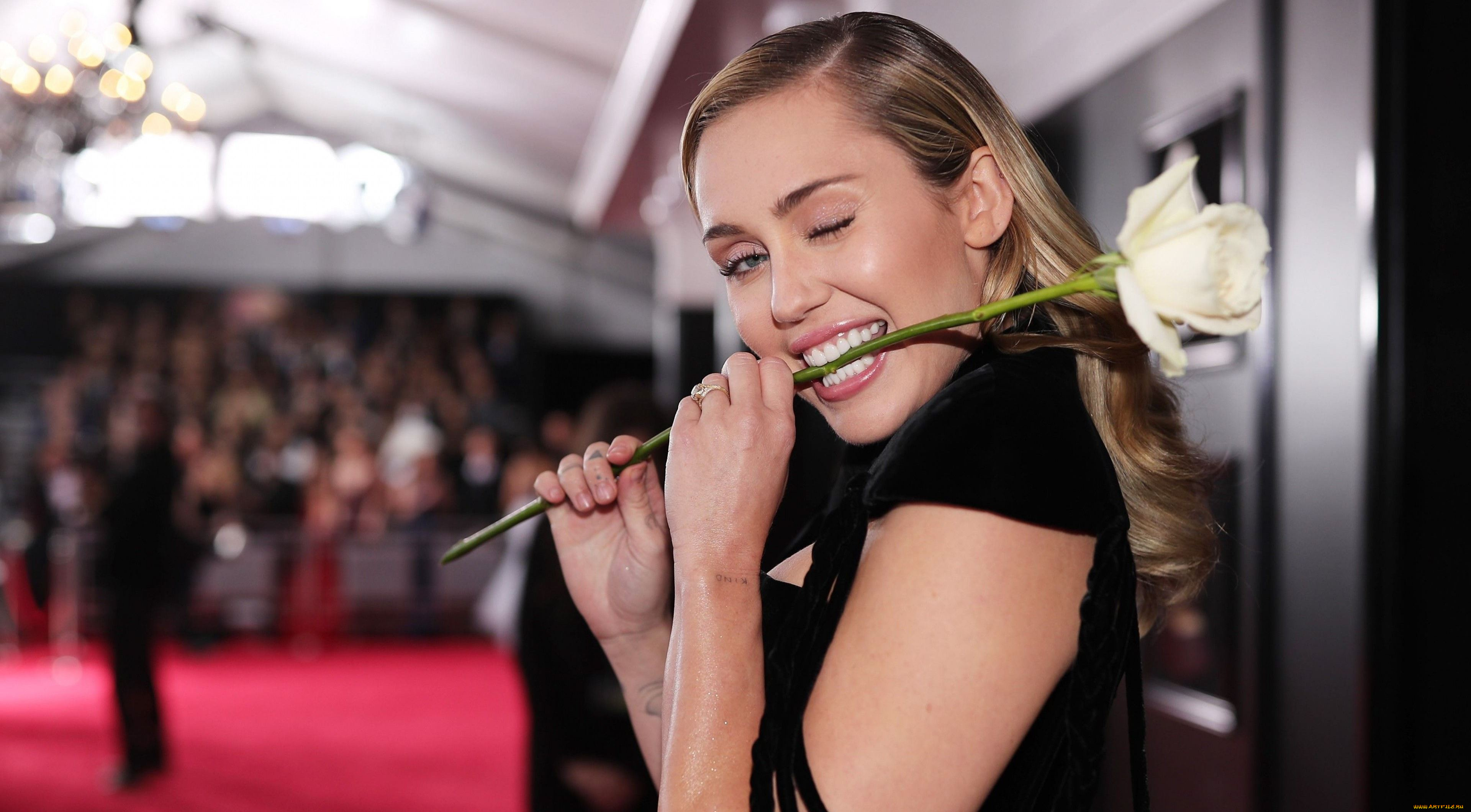 музыка, miley, cyrus, певица, блондинка, зубы, цветок, роза