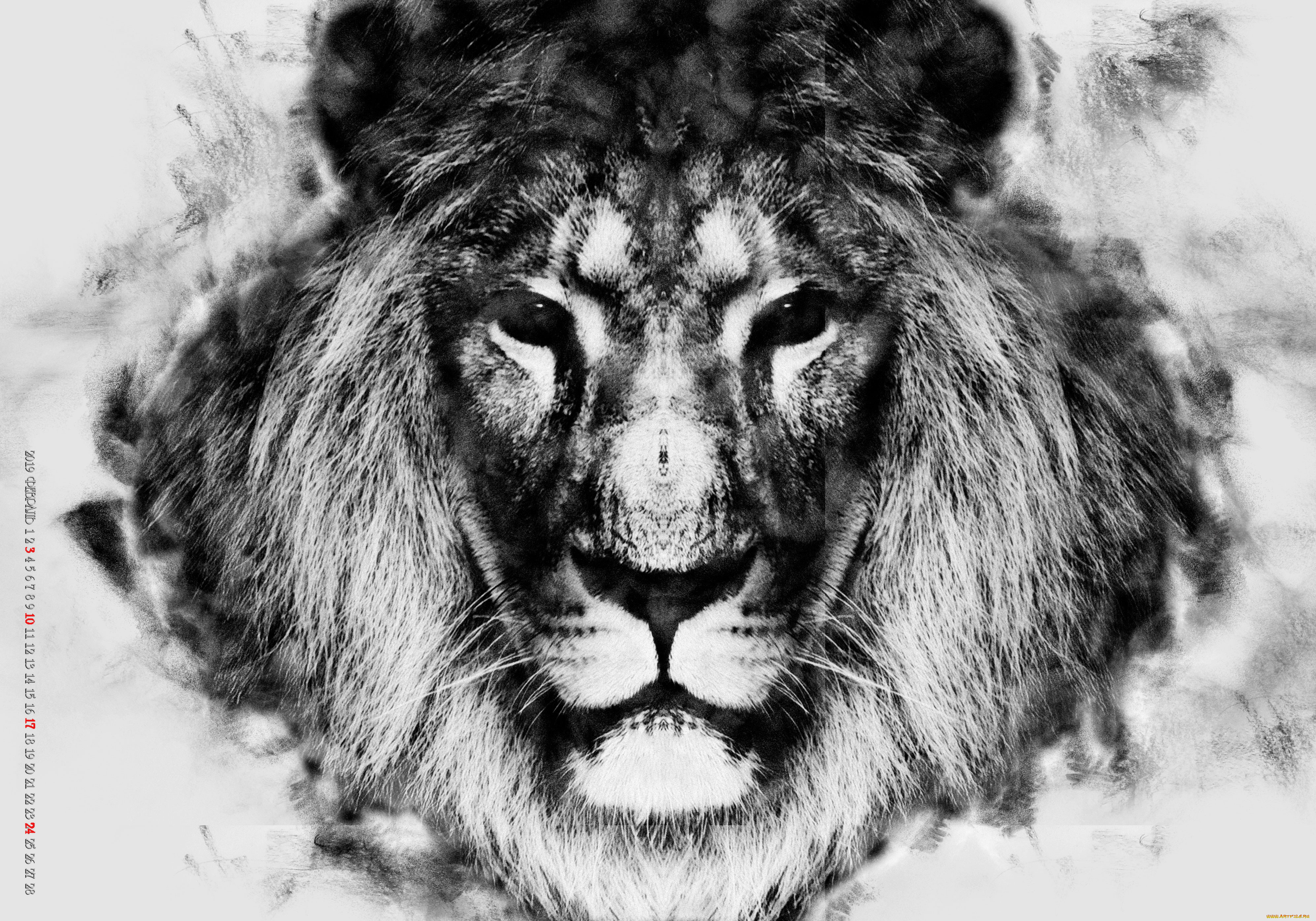 календари, компьютерный, дизайн, морда, грива, взгляд, лев