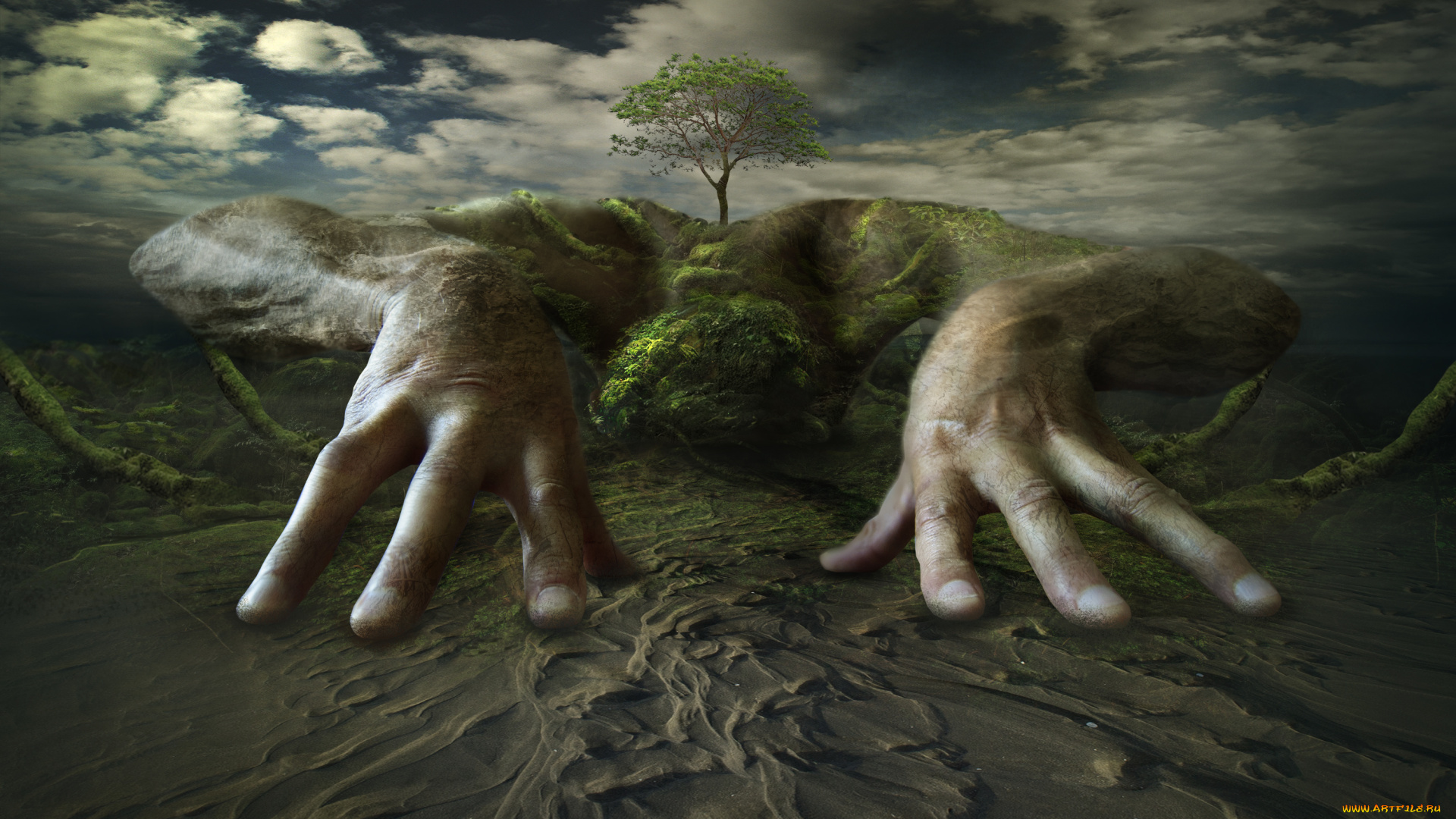 разное, компьютерный, дизайн, дерево, пальцы, руки, песок