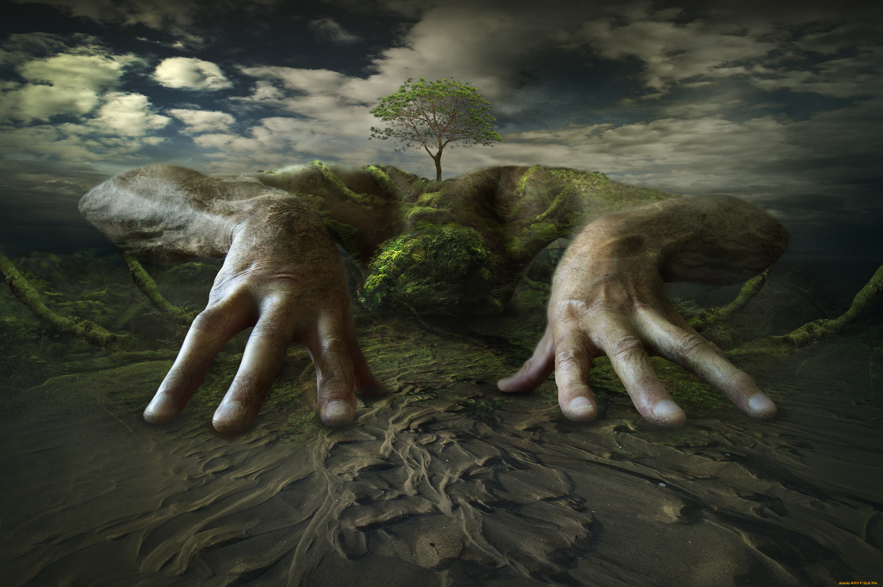 разное, компьютерный, дизайн, дерево, пальцы, руки, песок