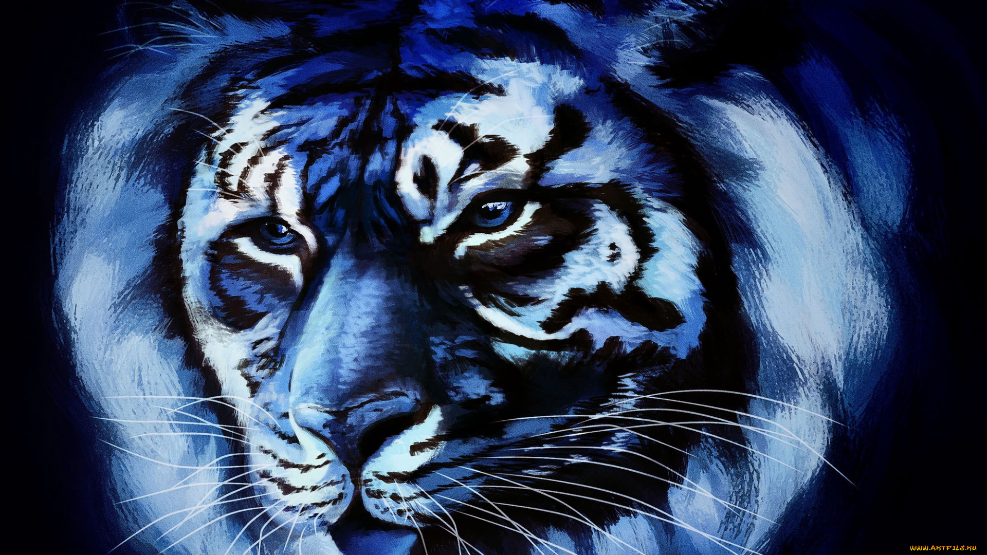 рисованное, животные, , тигры, тигр, голова