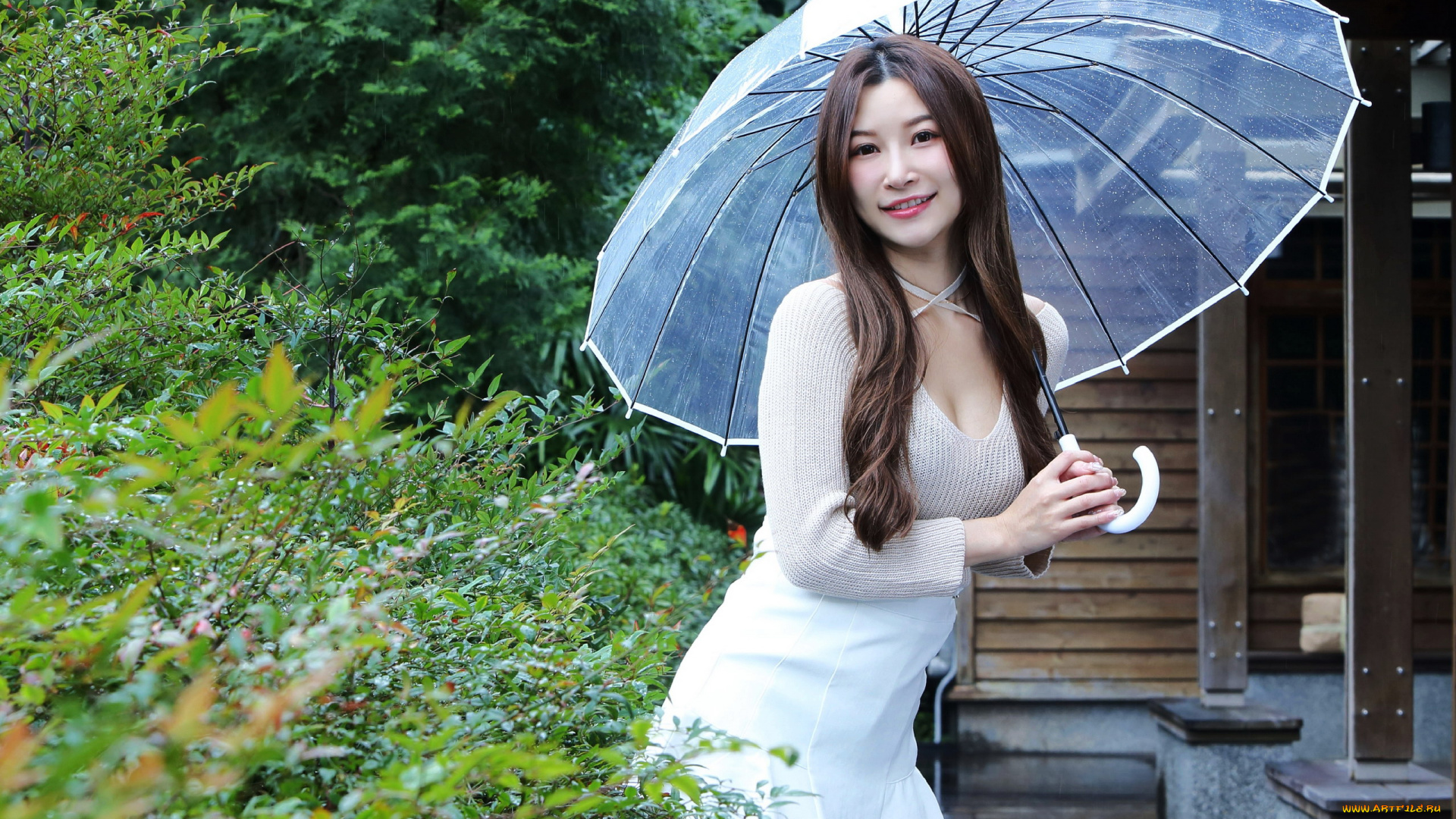 девушки, -, азиатки, азиатка, платье, мини, зонт