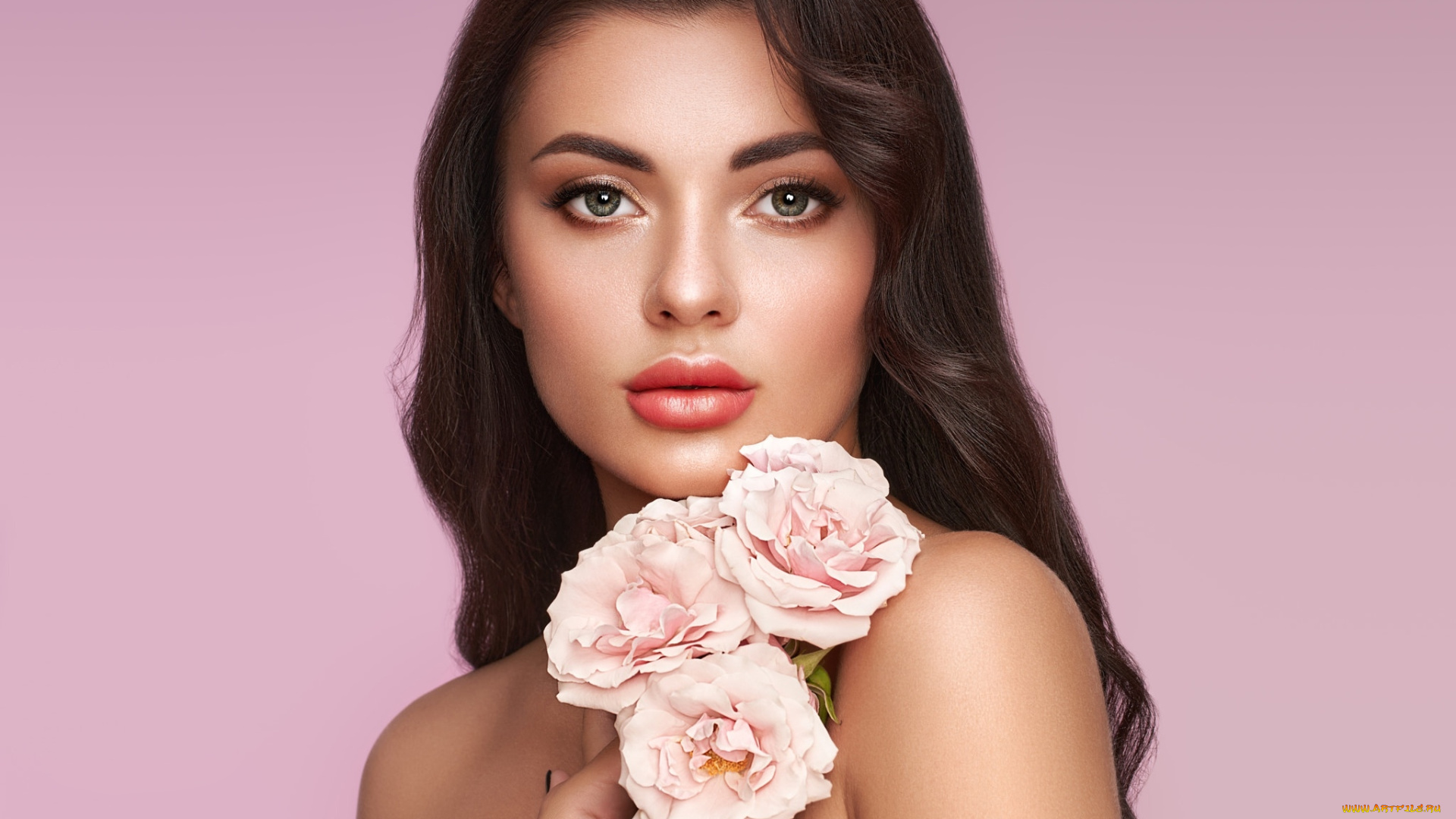 девушки, -, лица, , портреты, розы, портрет, брюнетка