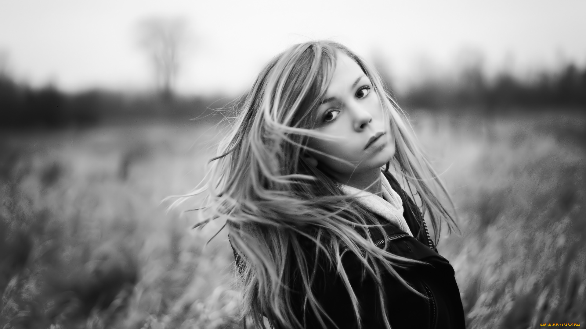 zara, jay, девушки, -, черно-белые, блондинка, черно-белая, луг