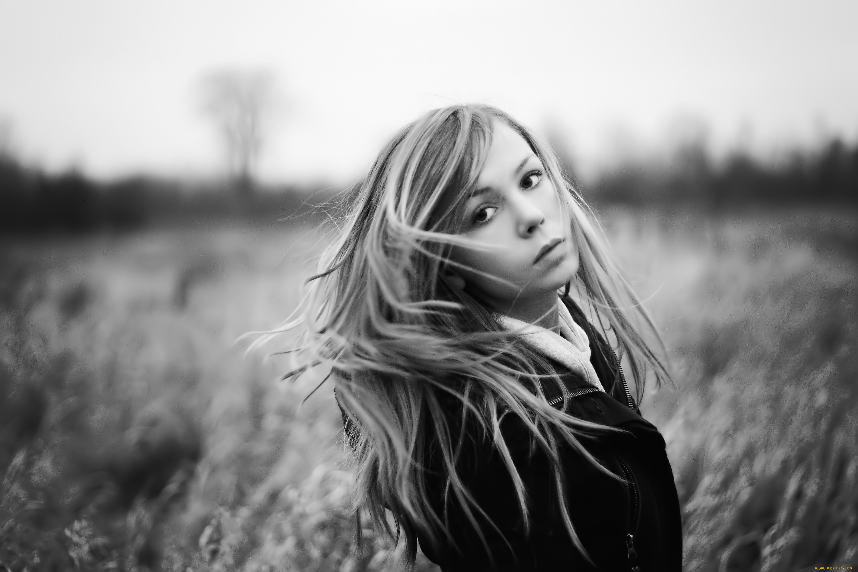 zara, jay, девушки, -, черно-белые, блондинка, черно-белая, луг